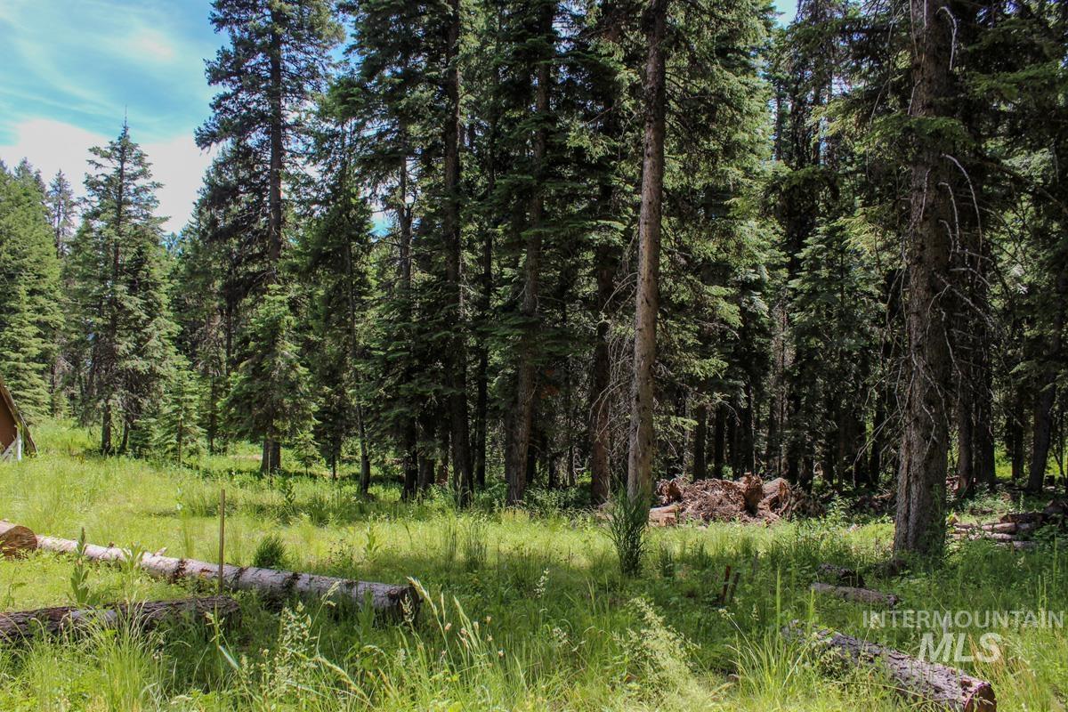 1801 Canary Trail, Donnelly, Idaho 83615, Land For Sale, Price $250,000, 98945189