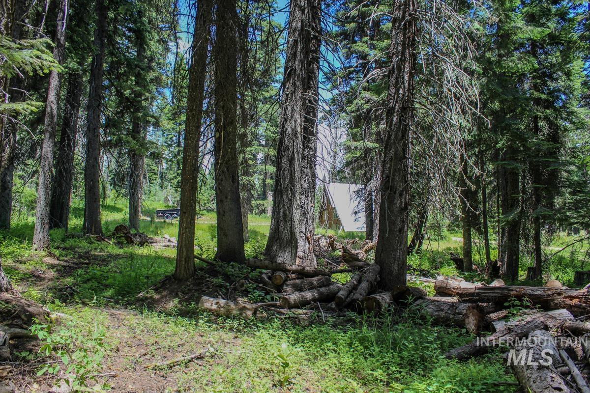 1801 Canary Trail, Donnelly, Idaho 83615, Land For Sale, Price $250,000, 98945189