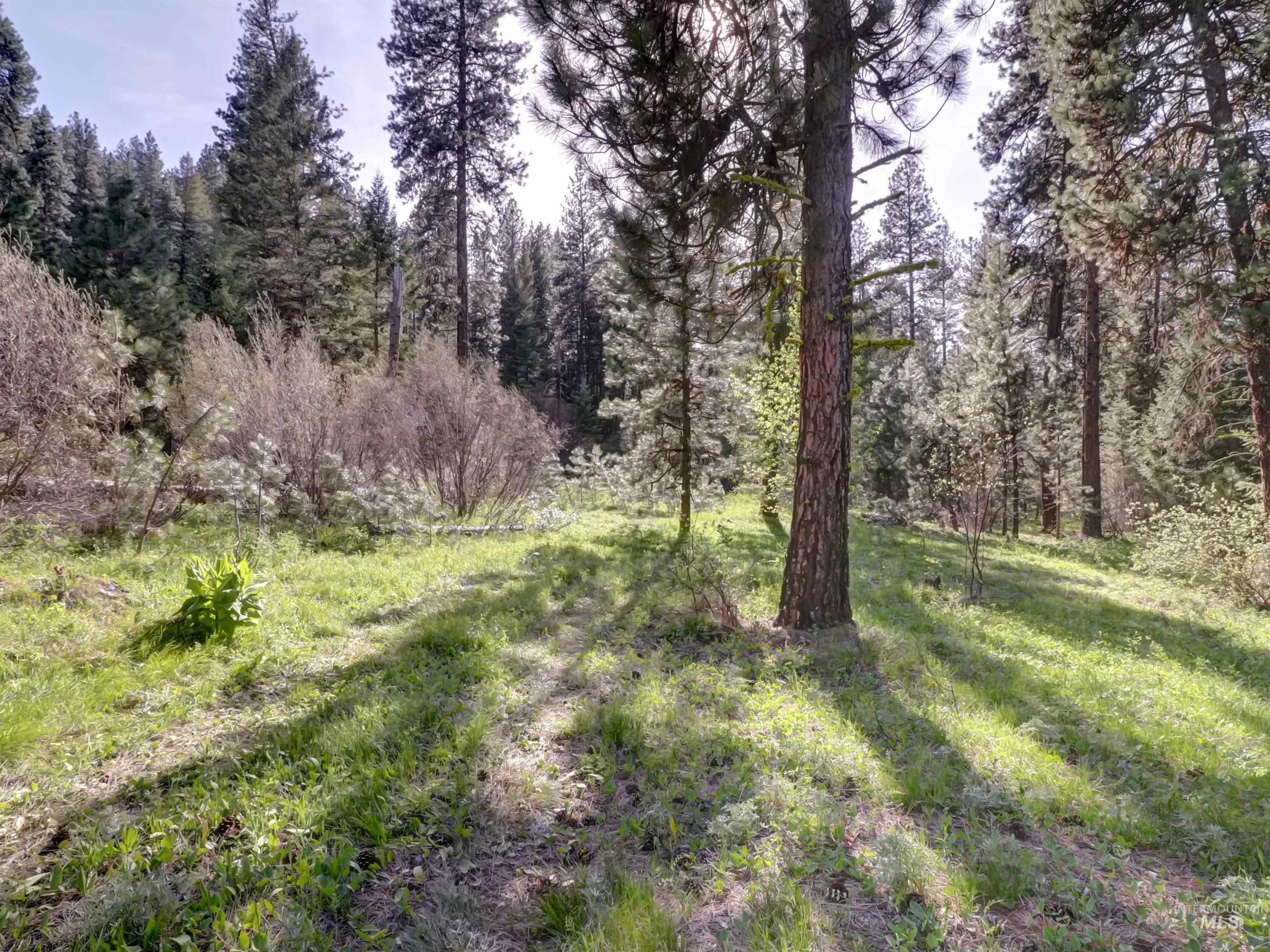 0 Golden Trails, Boise, Idaho 83716, Land For Sale, Price $149,900, 98945339