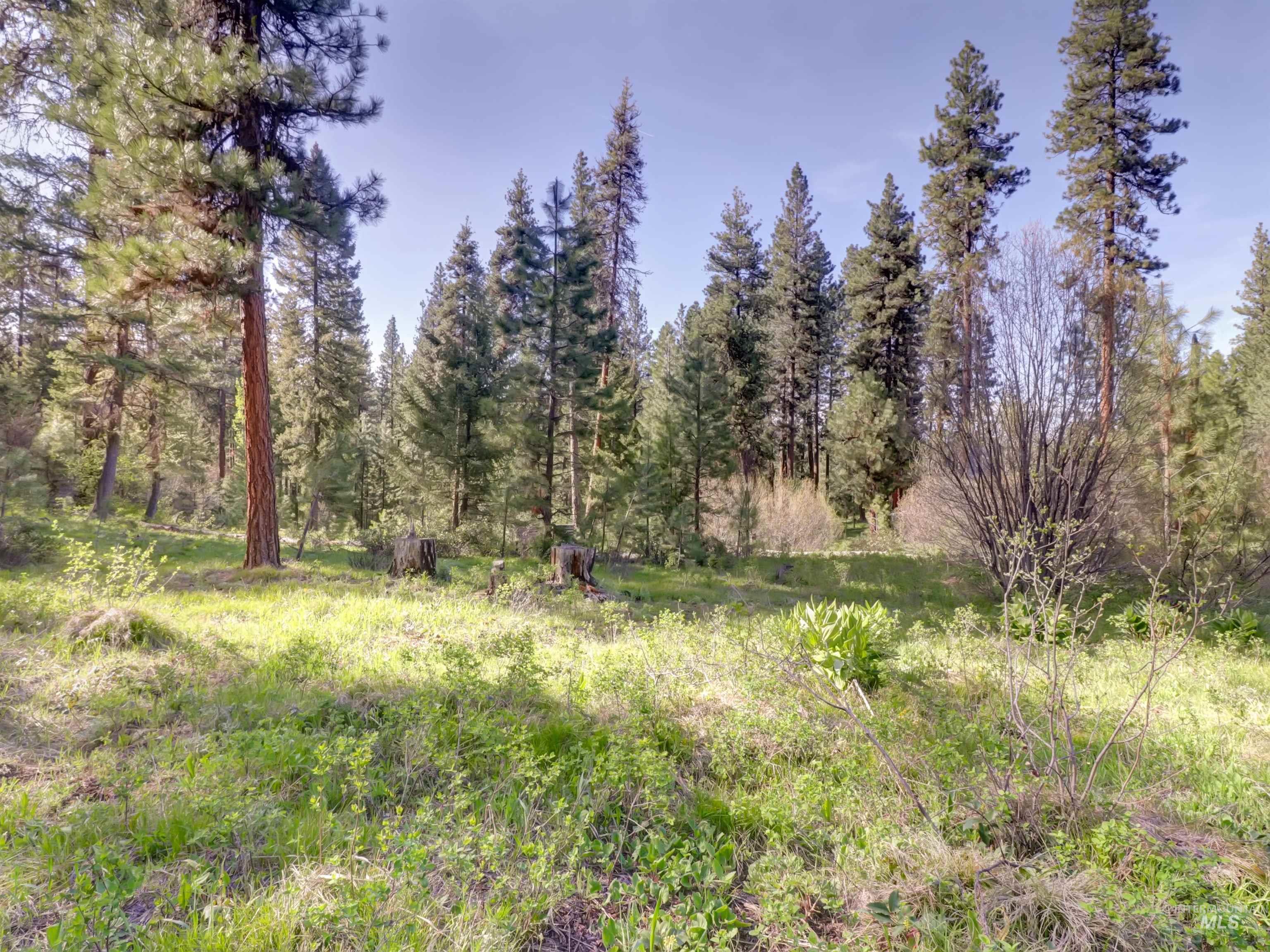 0 Golden Trails, Boise, Idaho 83716, Land For Sale, Price $149,900, 98945339