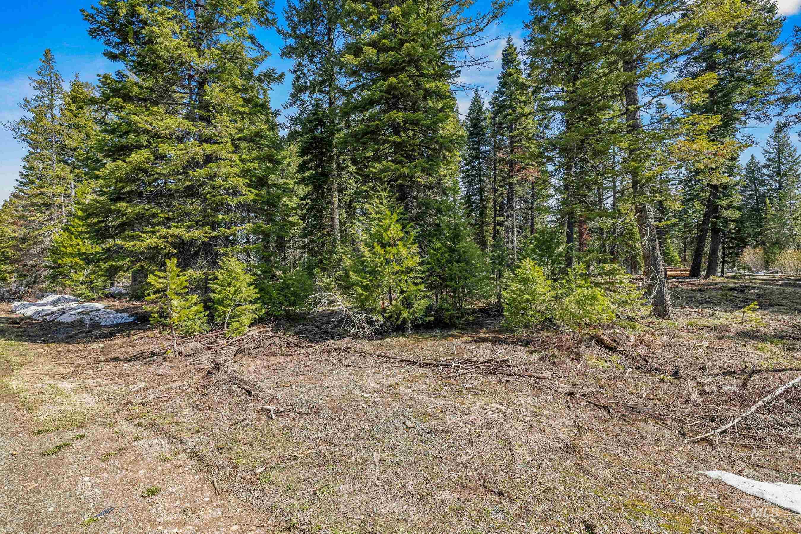 2144 Christie Road, Donnelly, Idaho 83615, Land For Sale, Price $375,000, 98945592