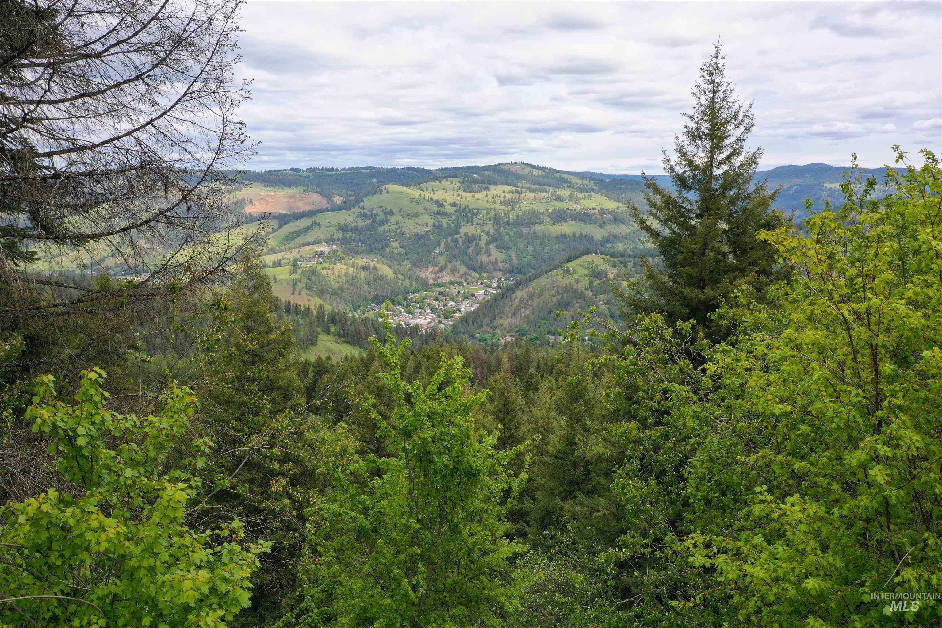 673 Neighbors Lane, Orofino, Idaho 83544, 3 Bedrooms, 2 Bathrooms, Residential For Sale, Price $549,000, 98945618