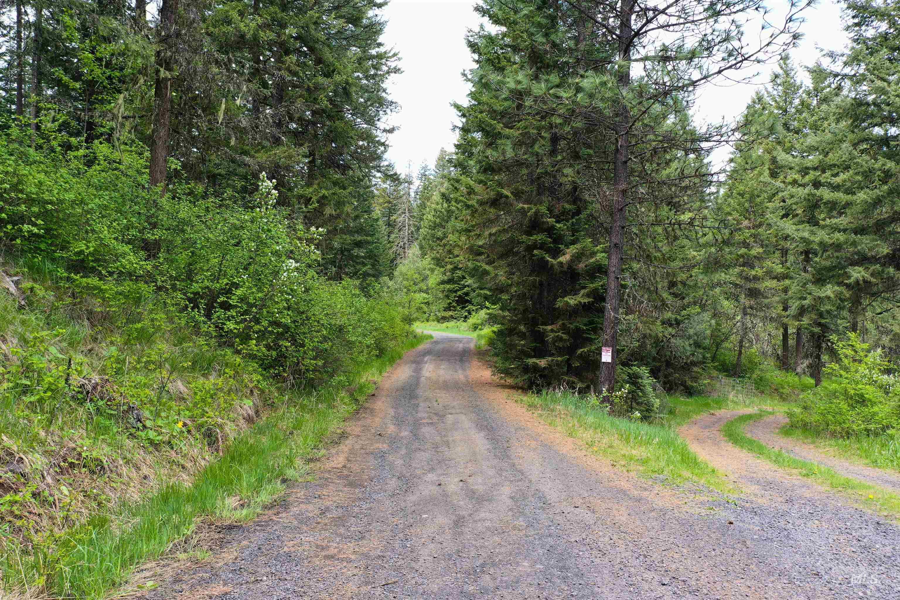 673 Neighbors Lane, Orofino, Idaho 83544, 3 Bedrooms, 2 Bathrooms, Residential For Sale, Price $549,000, 98945618