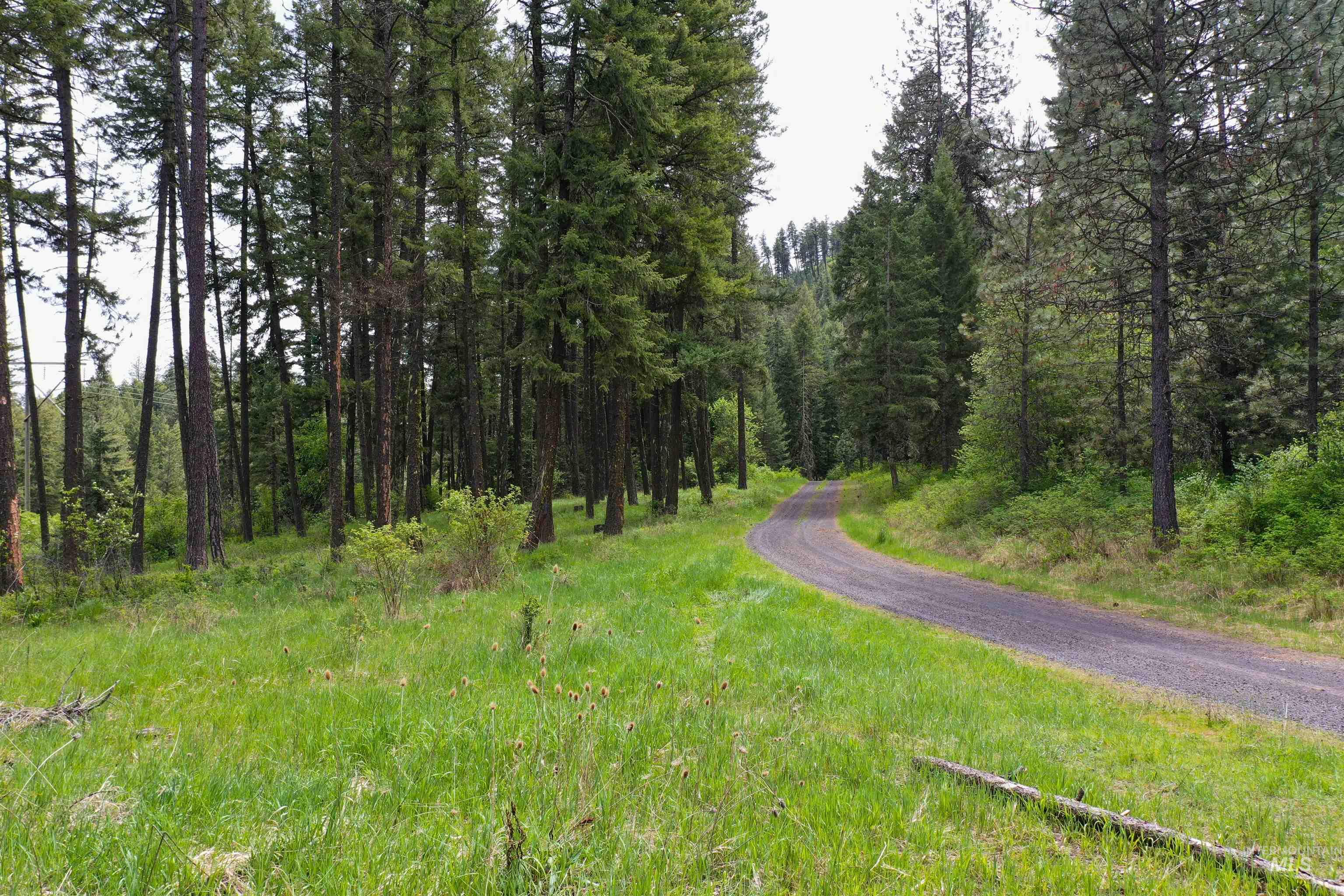 673 Neighbors Lane, Orofino, Idaho 83544, 3 Bedrooms, 2 Bathrooms, Residential For Sale, Price $549,000, 98945618