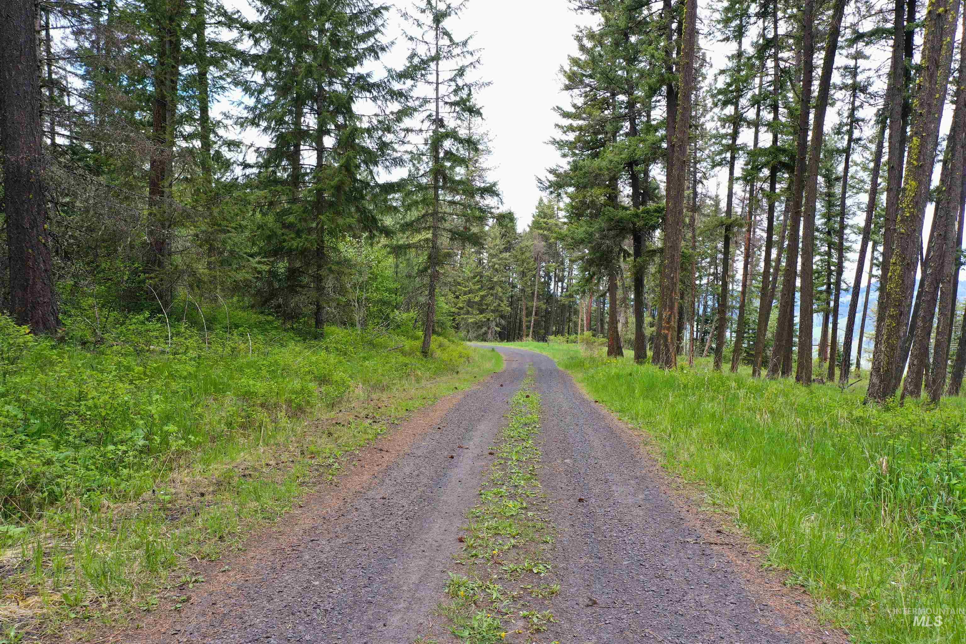 673 Neighbors Lane, Orofino, Idaho 83544, 3 Bedrooms, 2 Bathrooms, Residential For Sale, Price $549,000, 98945618