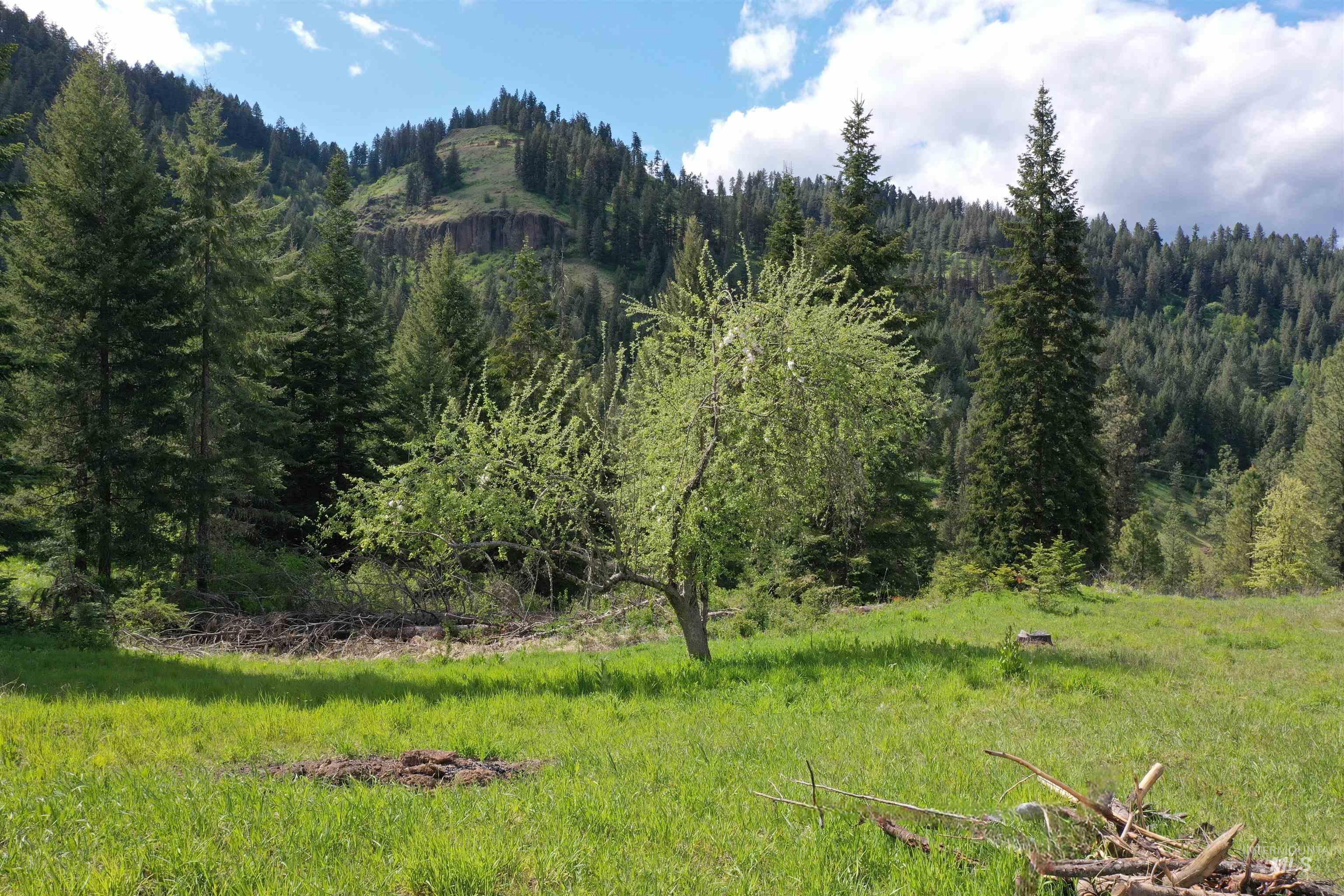 673 Neighbors Lane, Orofino, Idaho 83544, 3 Bedrooms, 2 Bathrooms, Residential For Sale, Price $549,000, 98945618