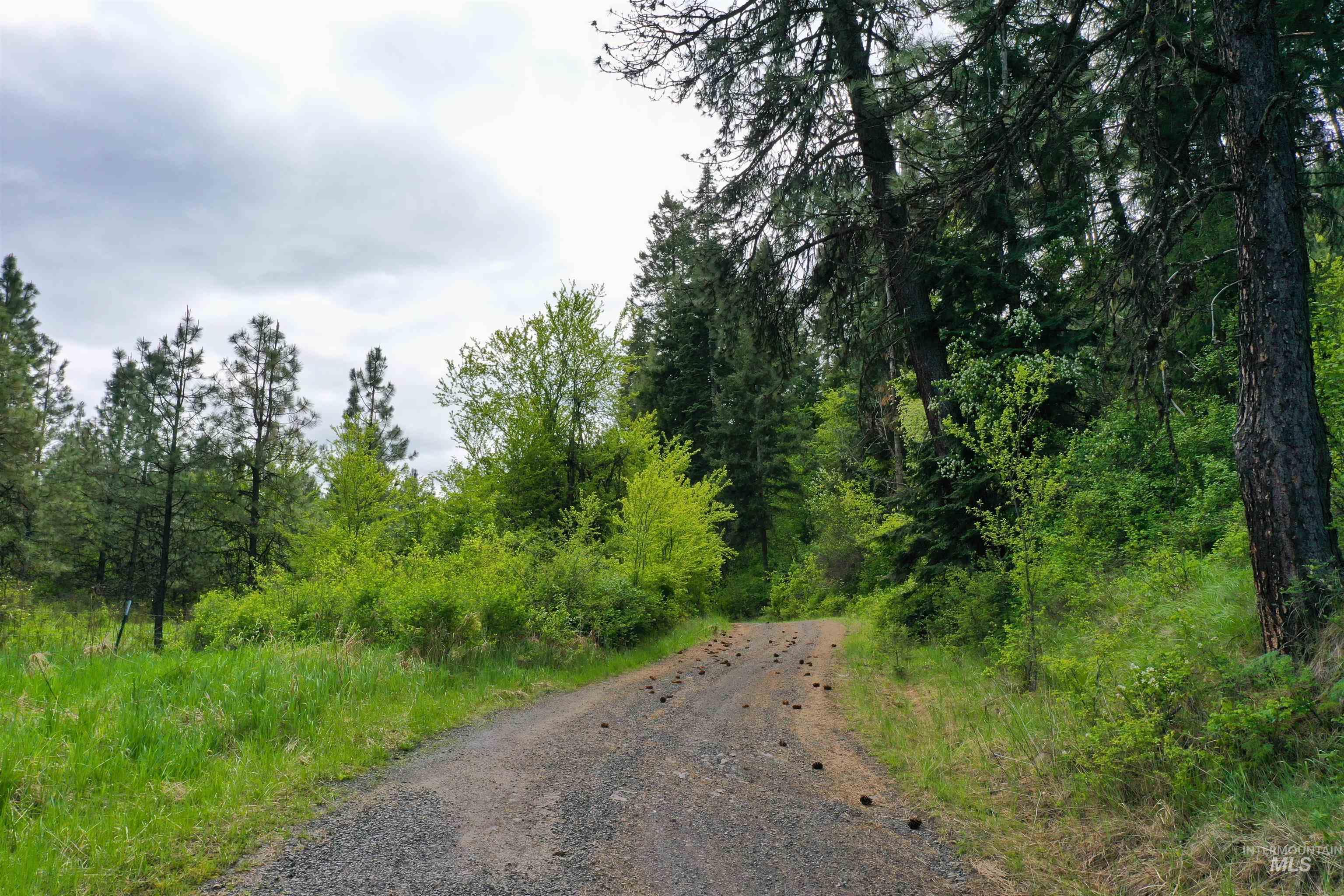 673 Neighbors Lane, Orofino, Idaho 83544, 3 Bedrooms, 2 Bathrooms, Residential For Sale, Price $549,000, 98945618