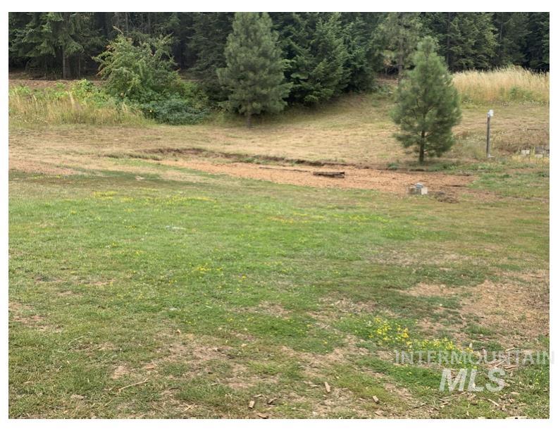 View of grassy yard