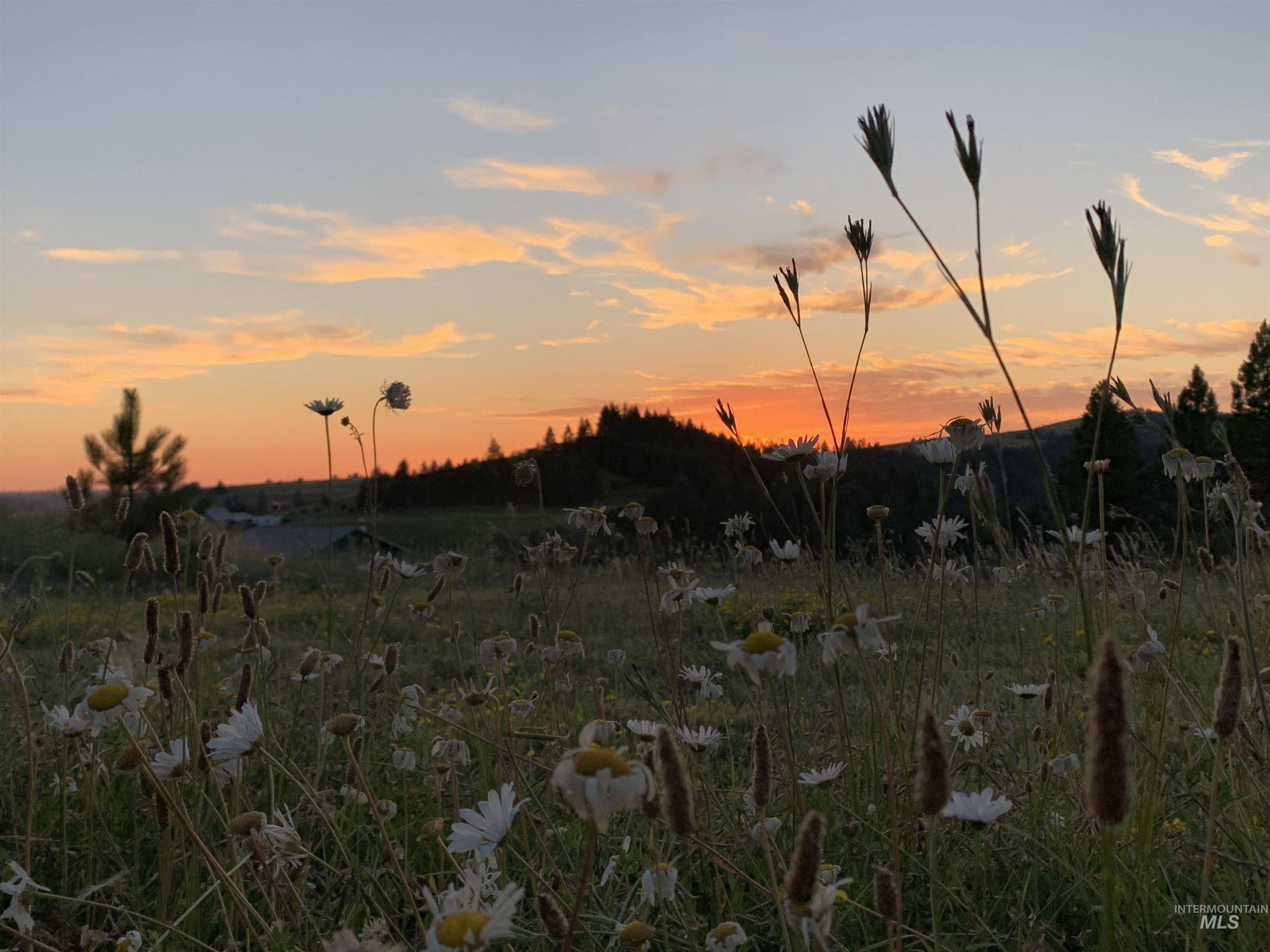 View of nature at dusk