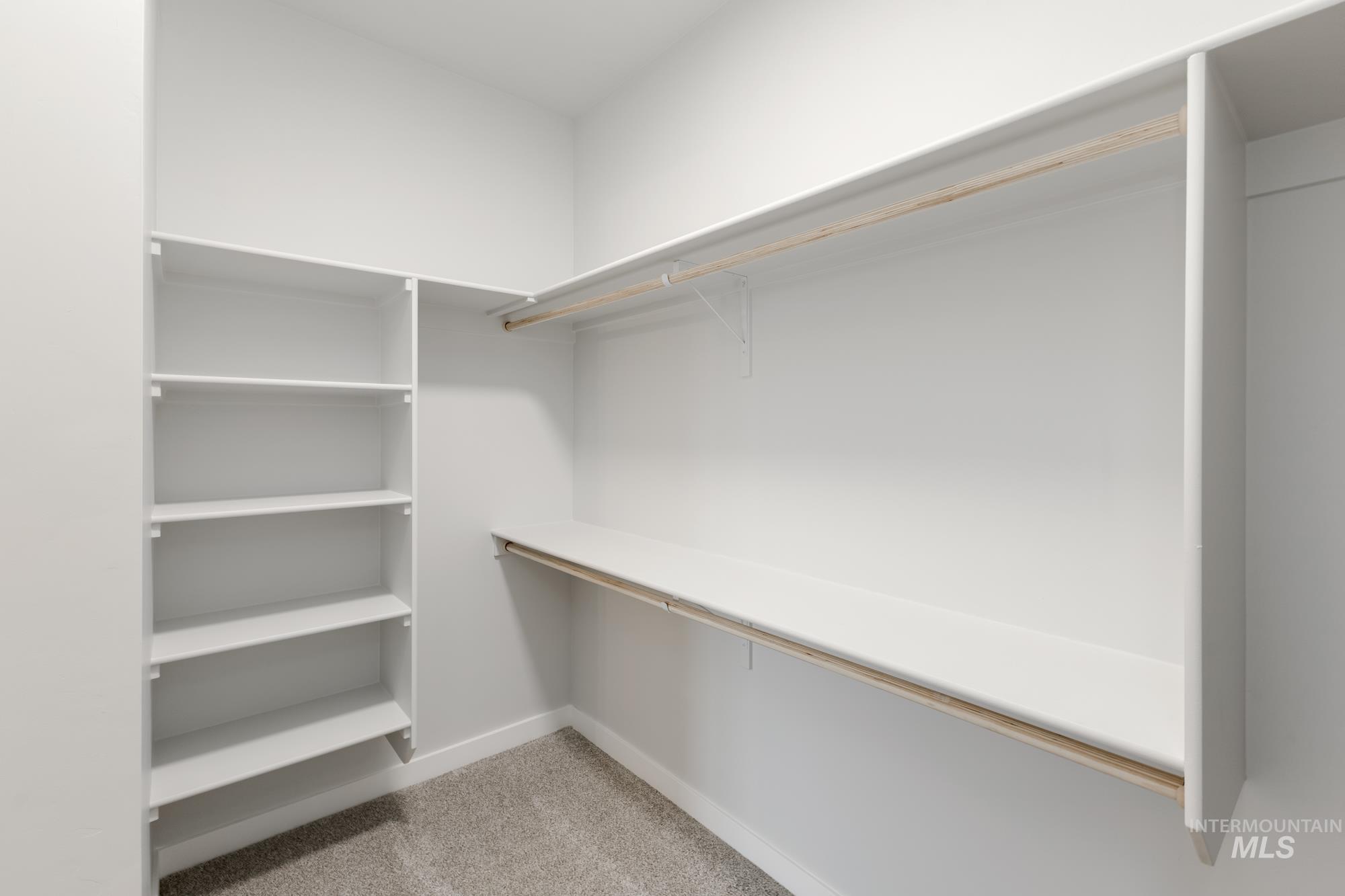 Walk in closet featuring light colored carpet