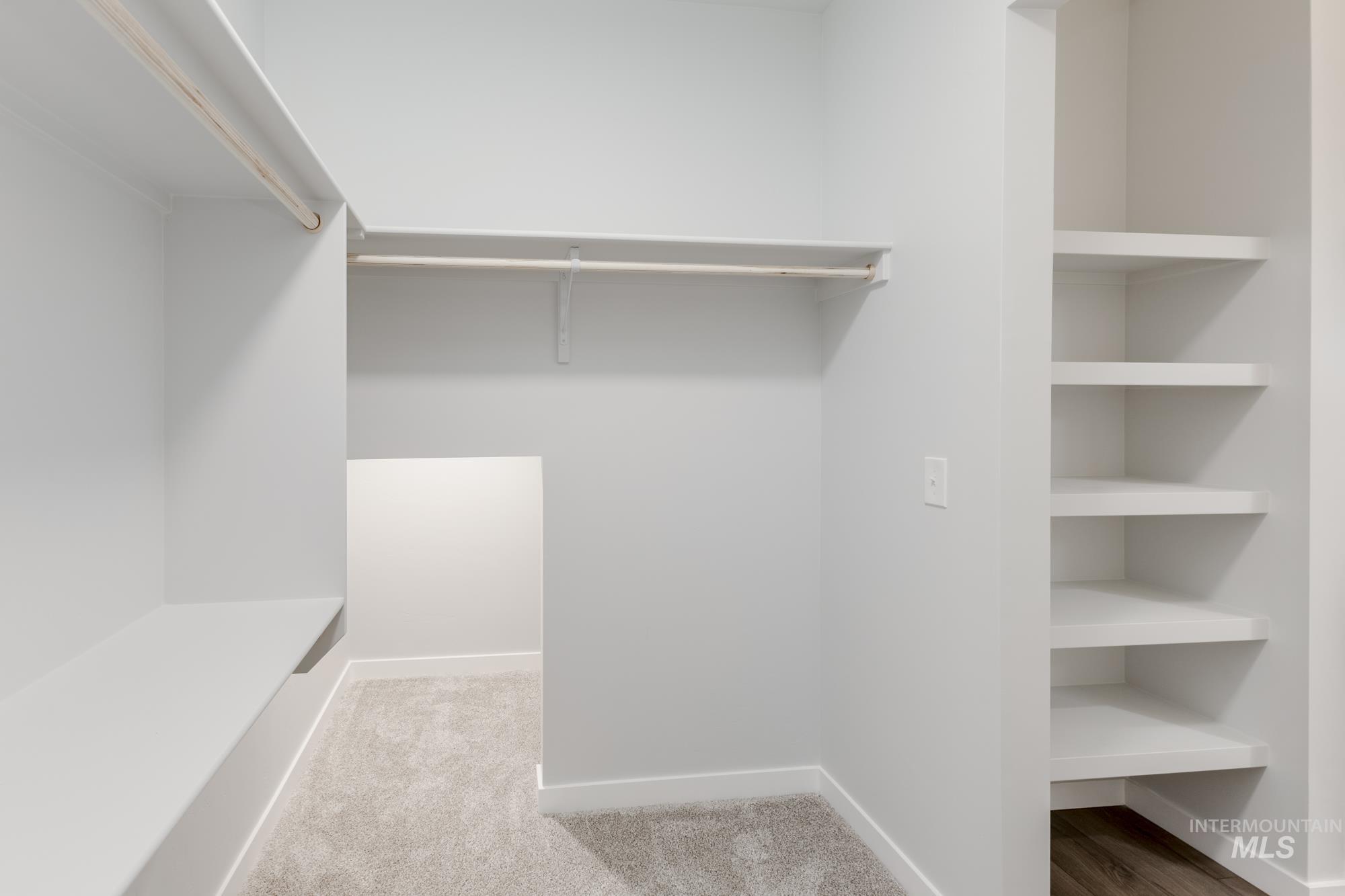 Walk in closet featuring carpet