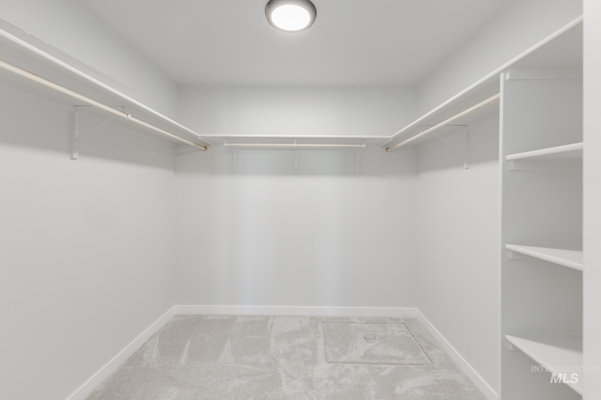 Spacious closet featuring light colored carpet