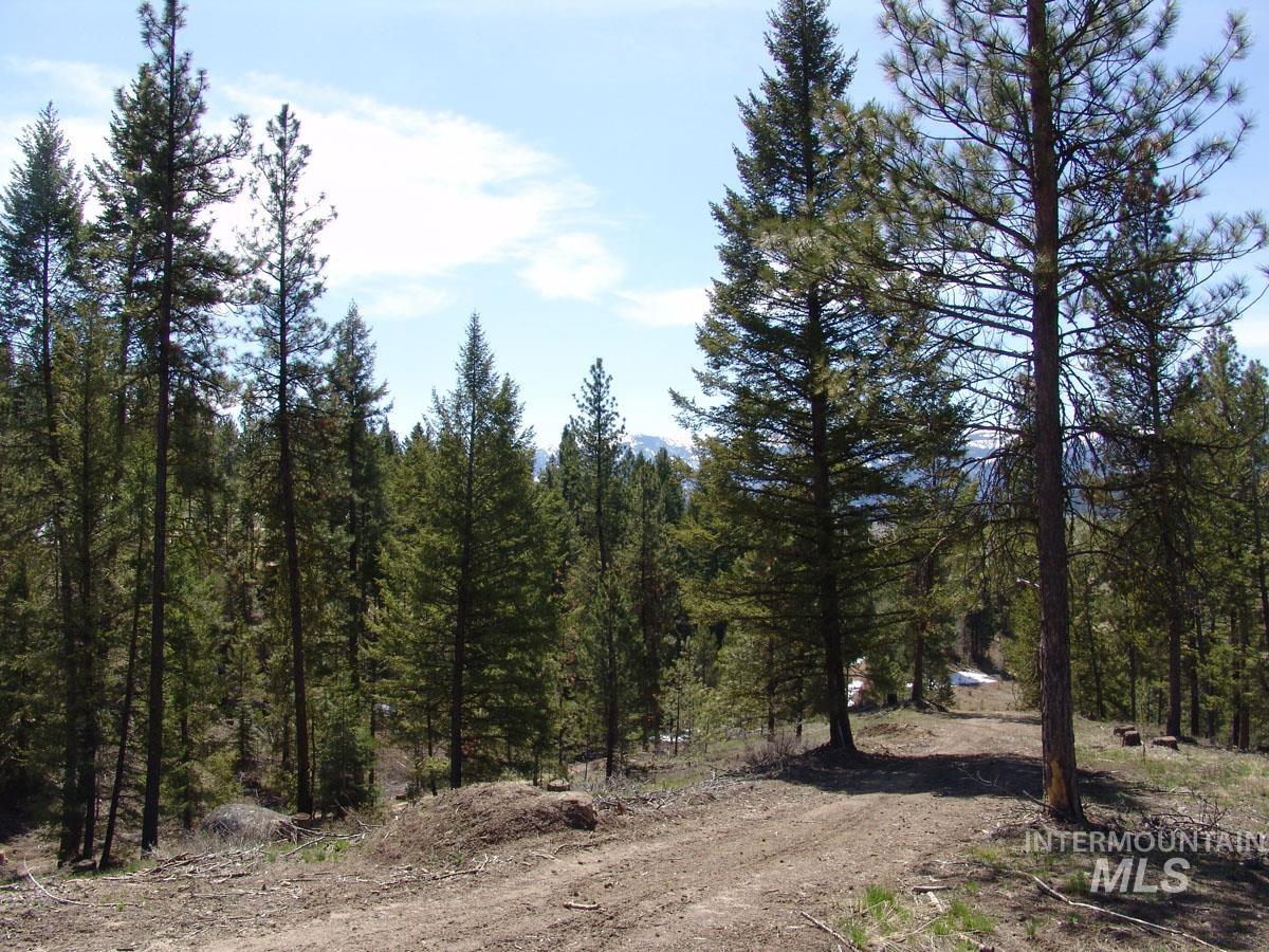 25 San Ignacio Way, Cascade, Idaho 83611, Land For Sale, Price $189,500, 98945729