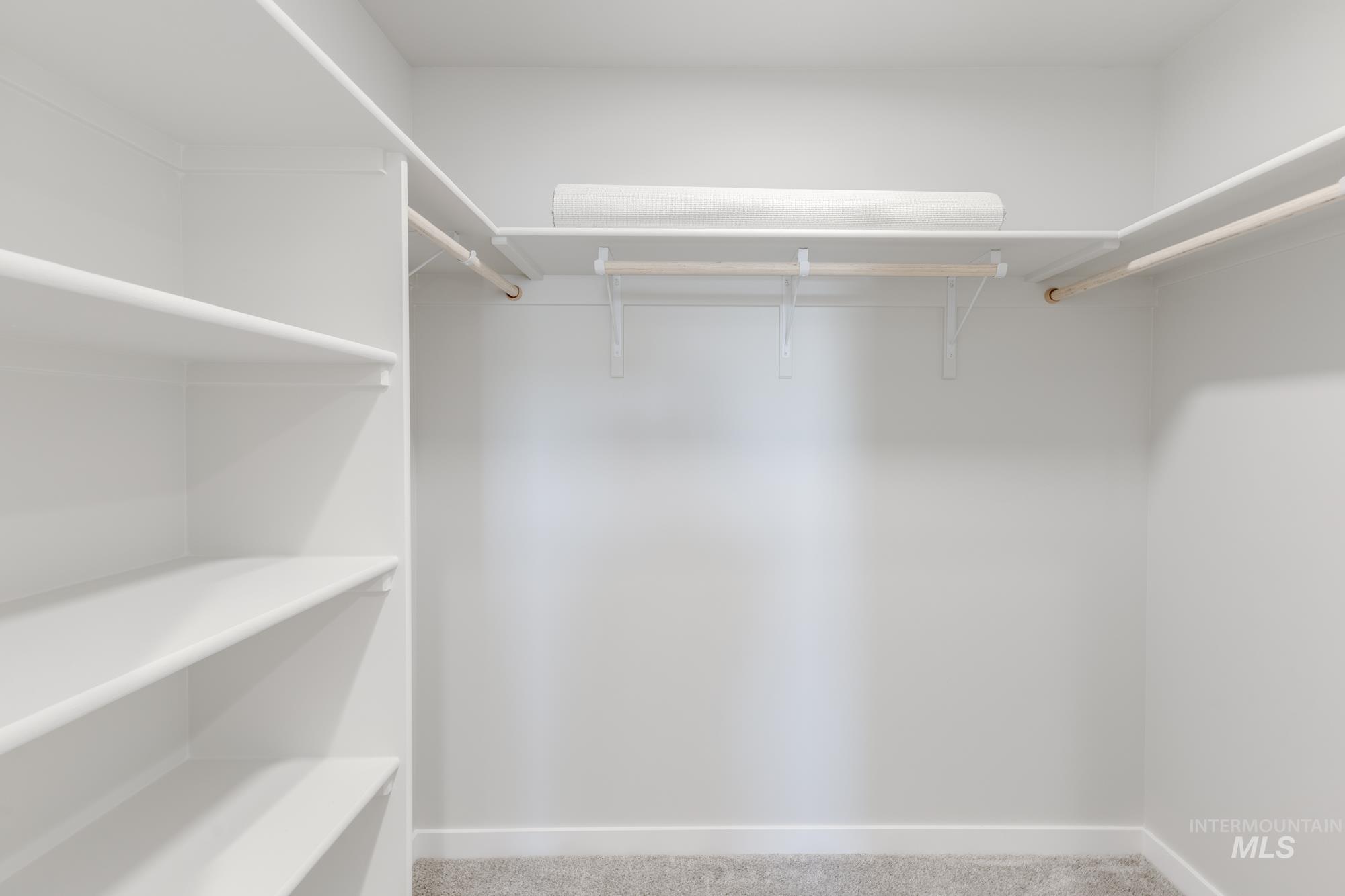Spacious closet with carpet flooring