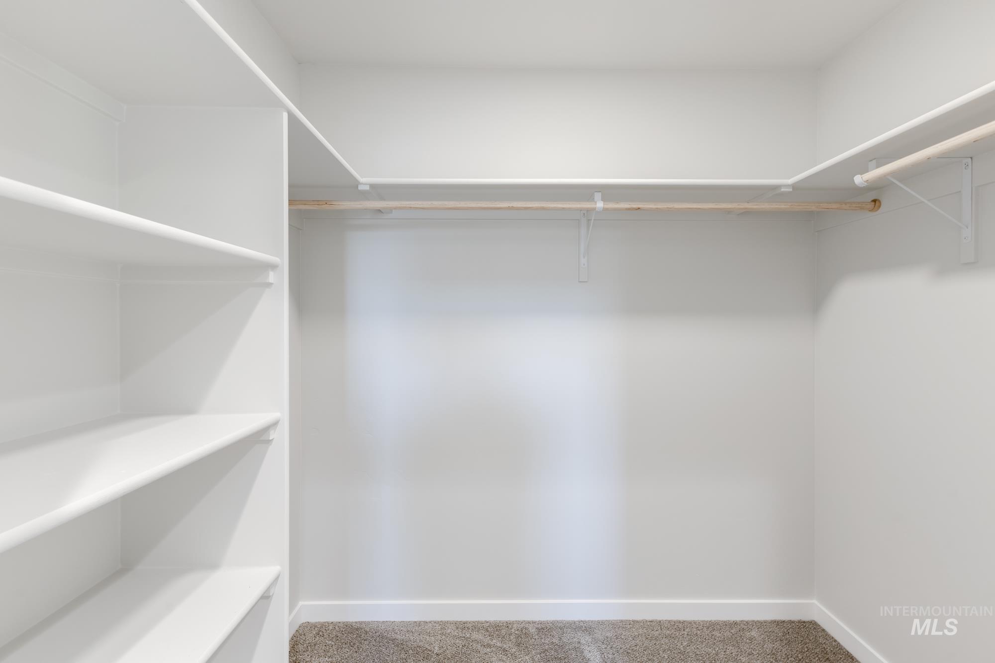 Spacious closet with carpet