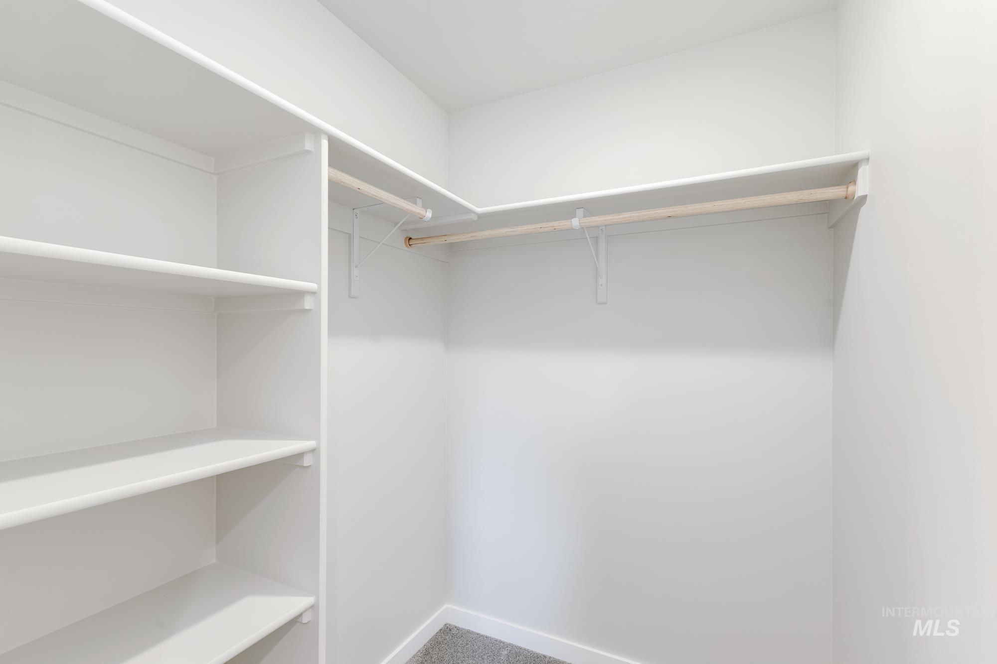 Walk in closet with carpet