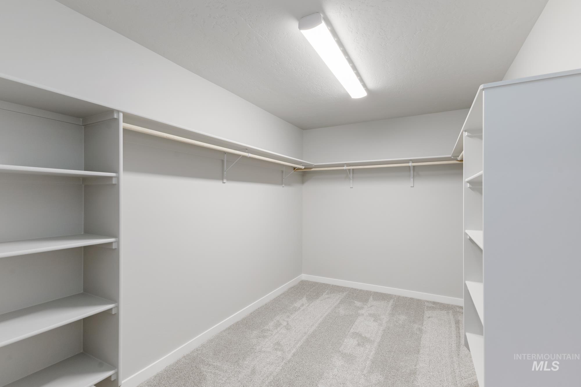 Walk in closet with light carpet