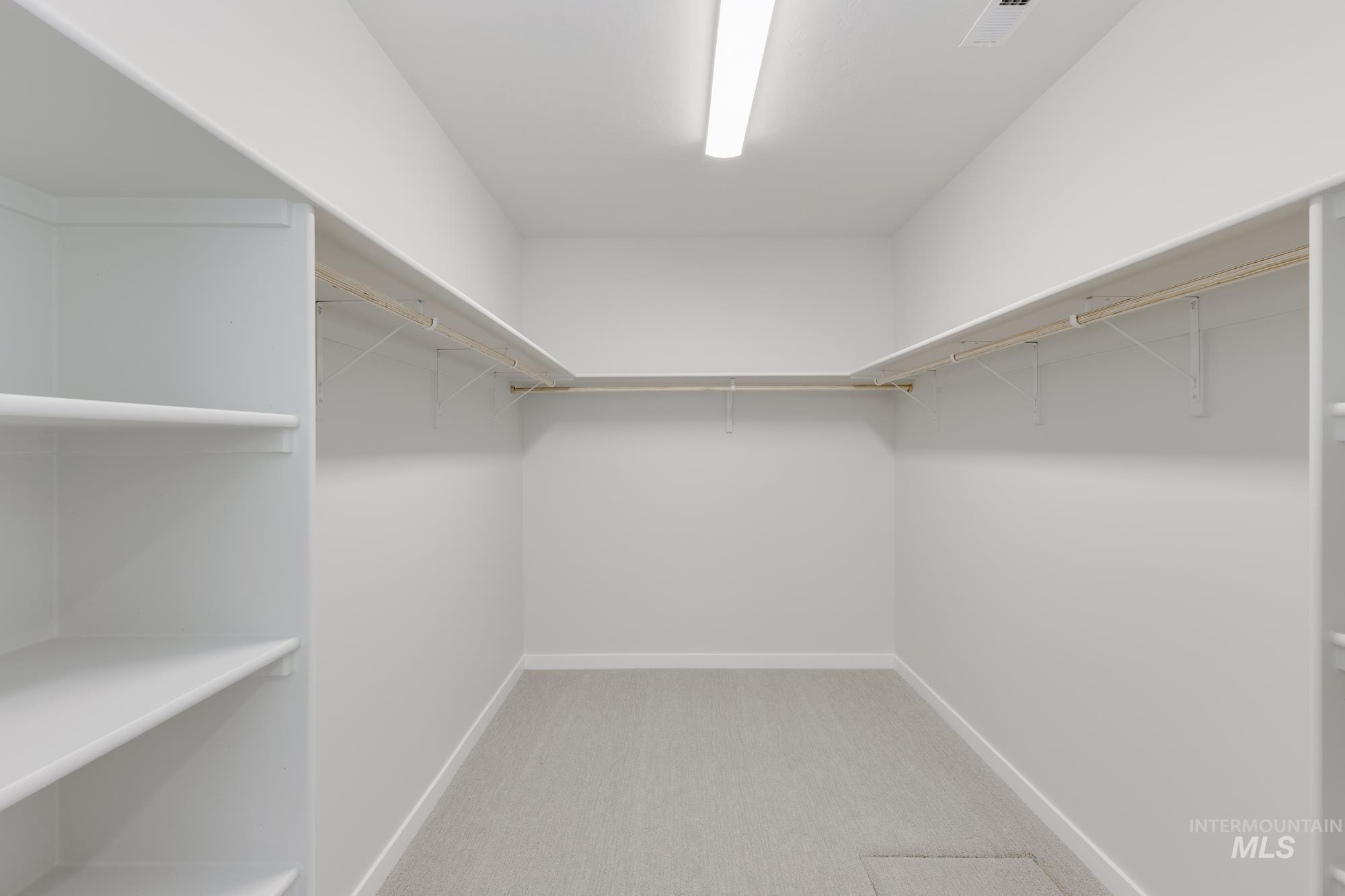 Walk in closet featuring carpet floors