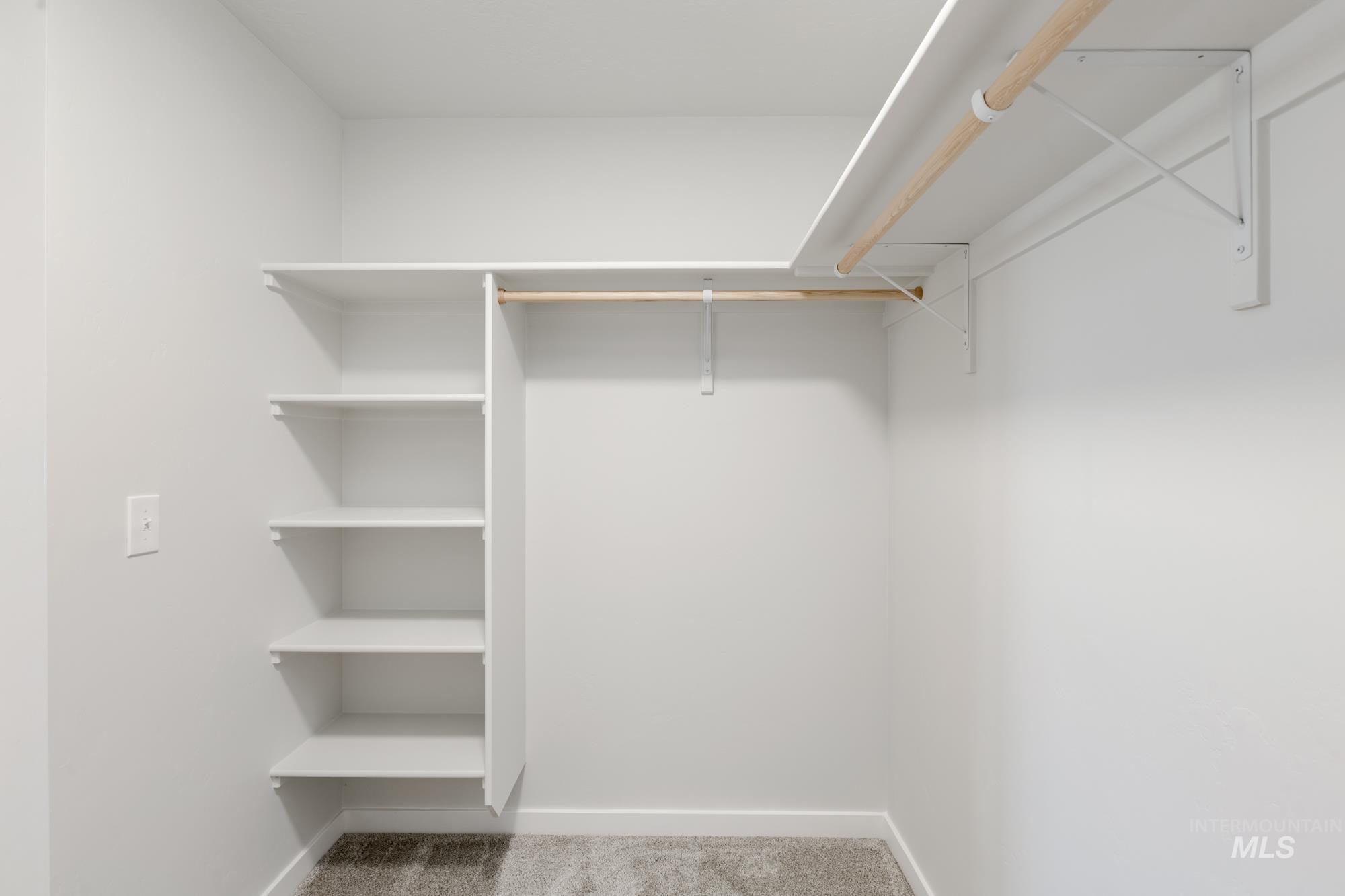 Spacious closet with carpet flooring