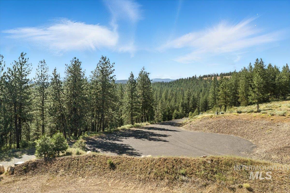 Lot 7 Van Dorn Dr., New Meadows, Idaho 83654, Land For Sale, Price $249,900, 98945812