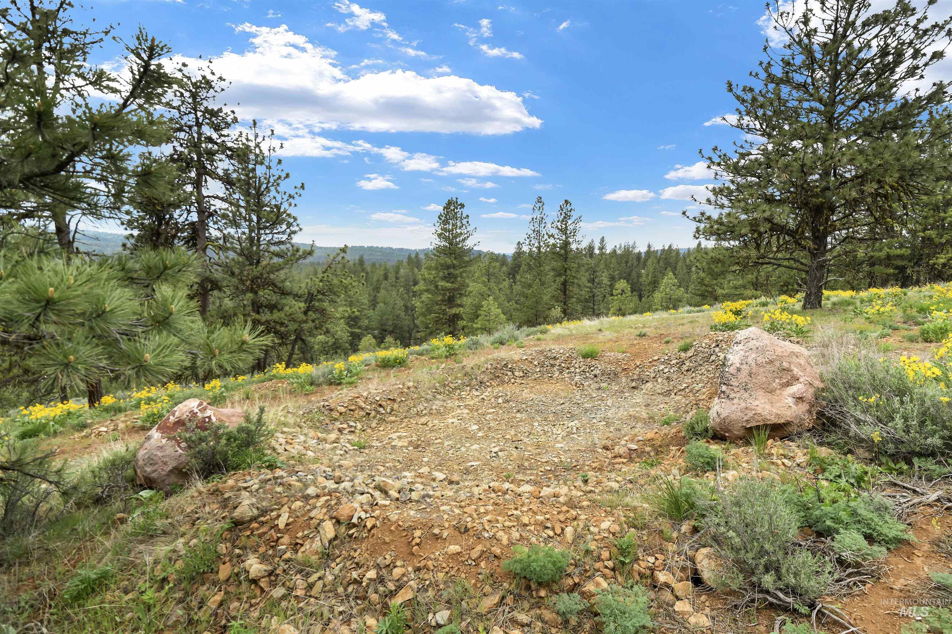 Lot 7 Van Dorn Dr., New Meadows, Idaho 83654, Land For Sale, Price $249,900, 98945812
