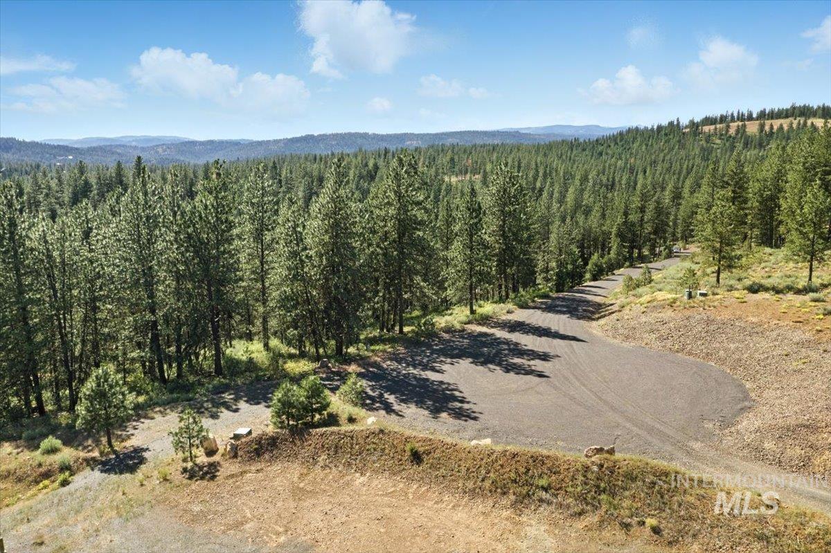 View of mountain background with a heavily wooded area