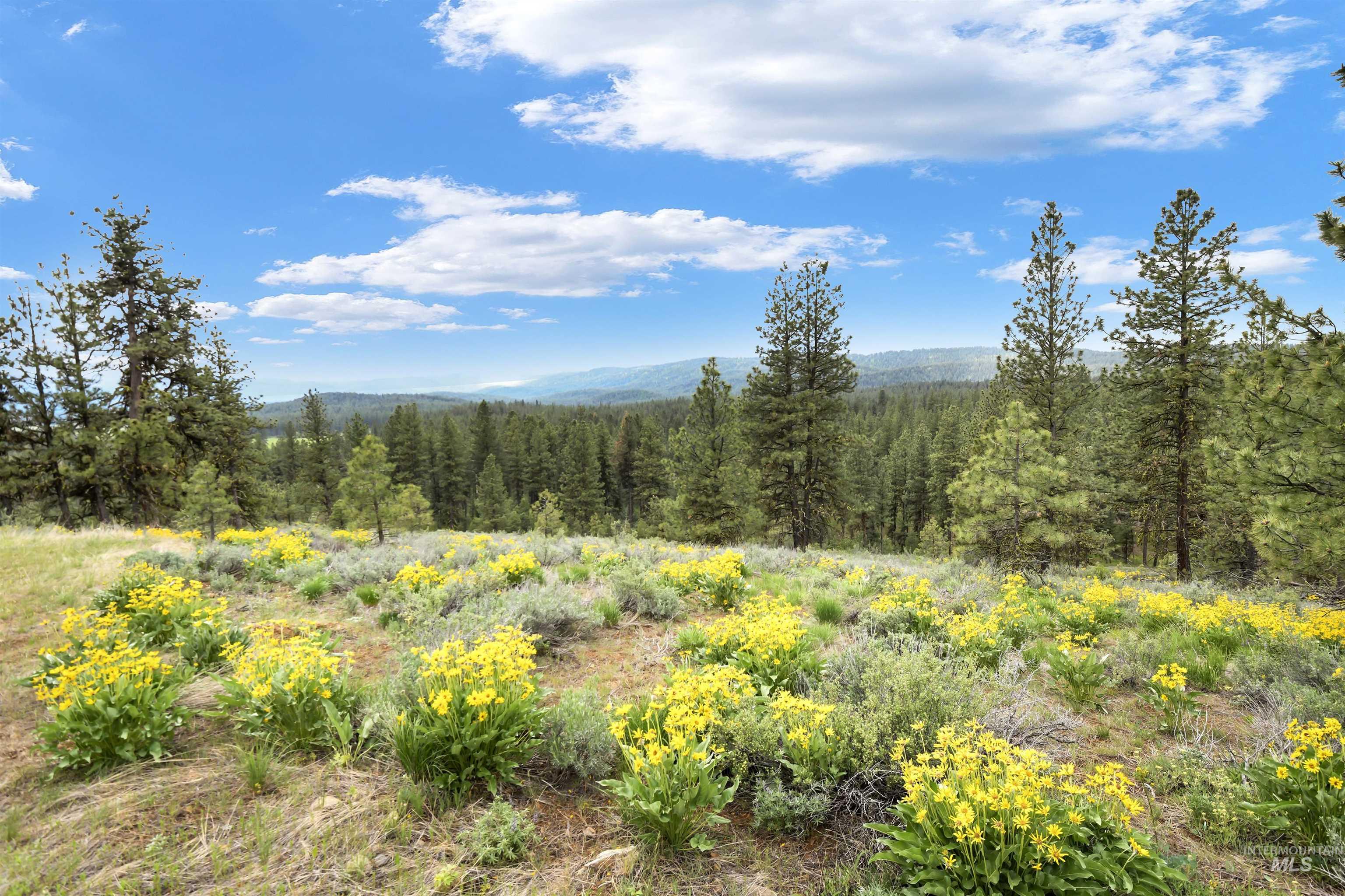 Lot 7 Van Dorn Dr., New Meadows, Idaho 83654, Land For Sale, Price $249,900, 98945812