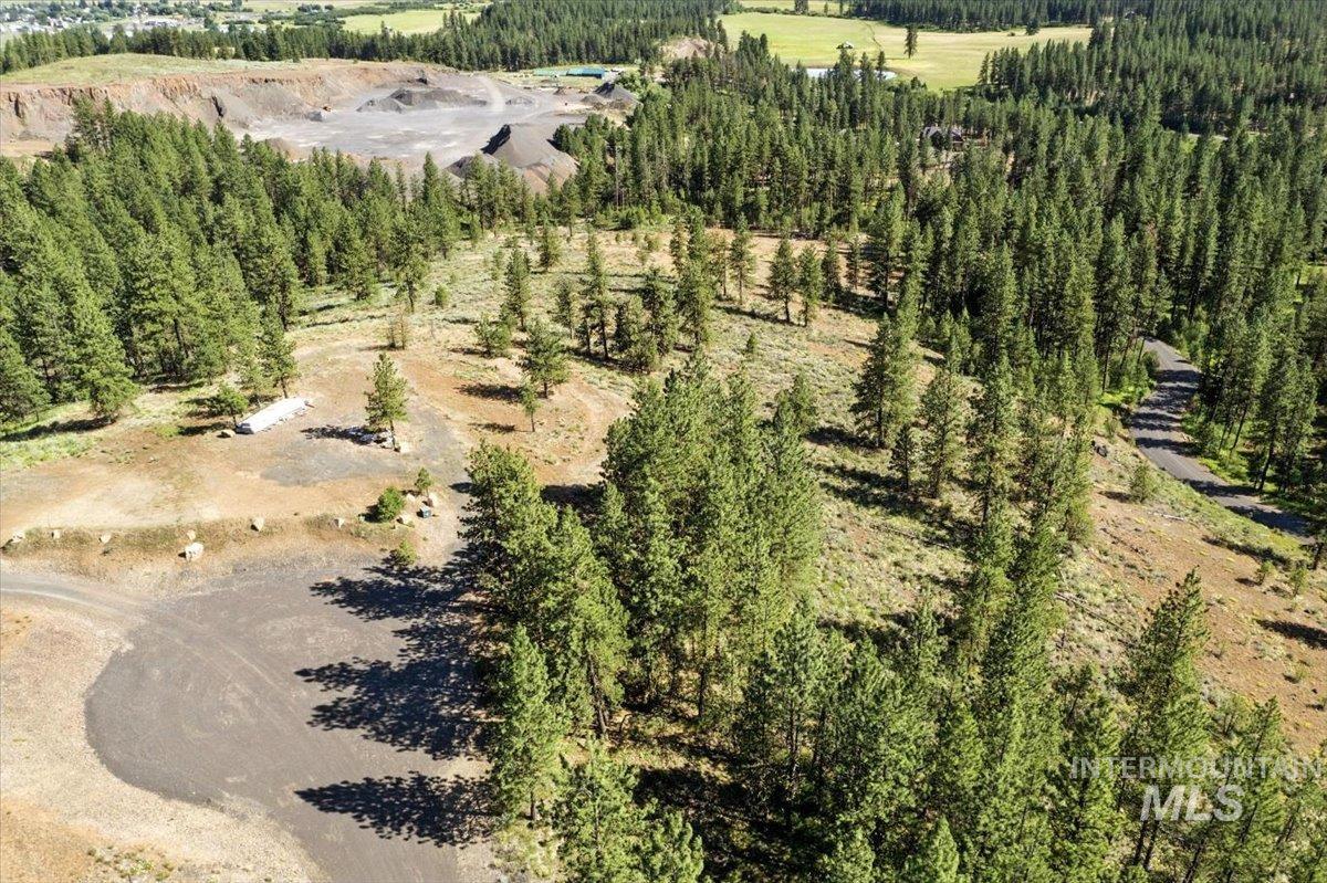 View of property location with a forest
