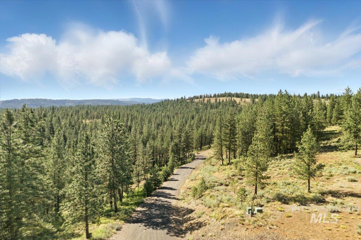 View of mountain backdrop with a heavily wooded area