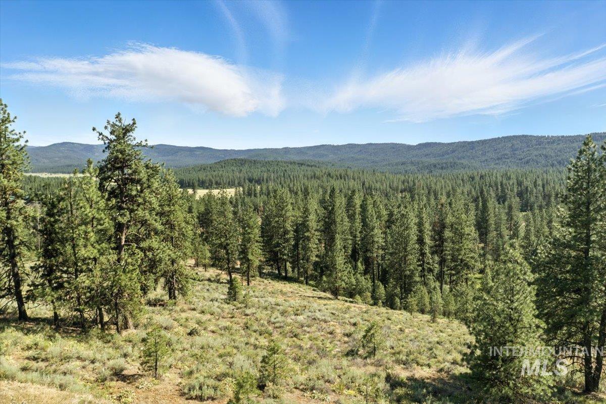 View of mountain background with a forest
