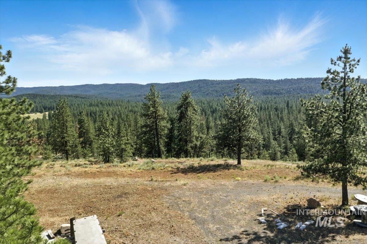 Mountain view featuring a forest