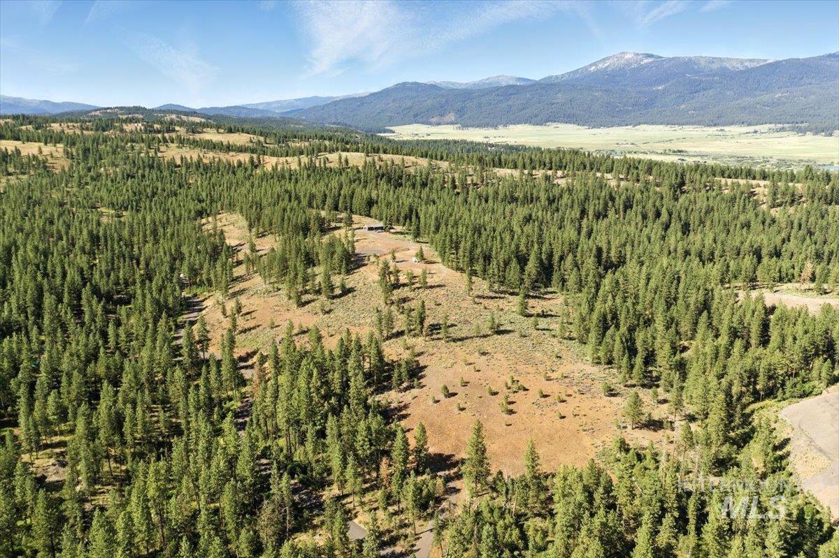 Mountain view with a heavily wooded area