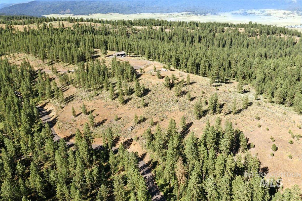 Aerial overview of property's location featuring a forest and a mountain backdrop