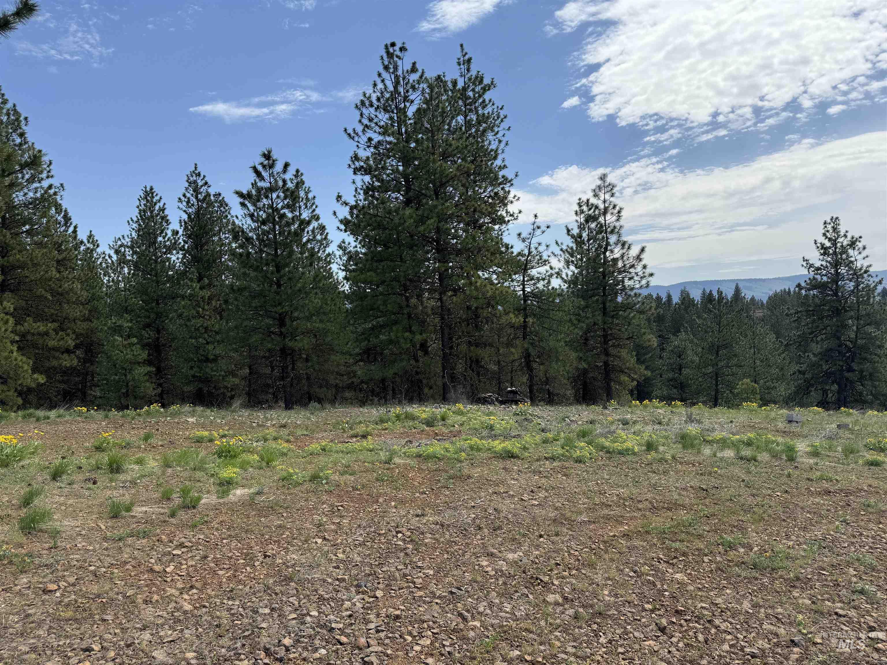 Lot 7 Van Dorn Dr., New Meadows, Idaho 83654, Land For Sale, Price $249,900, 98945812