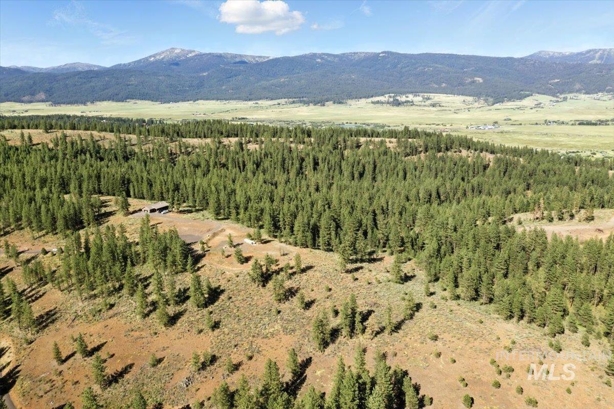 View of mountain background with a heavily wooded area