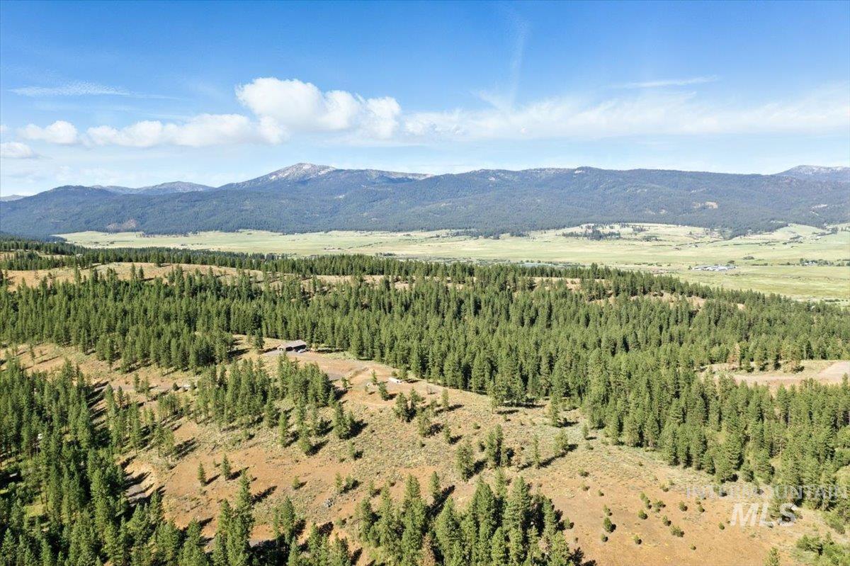View of mountain backdrop featuring a forest
