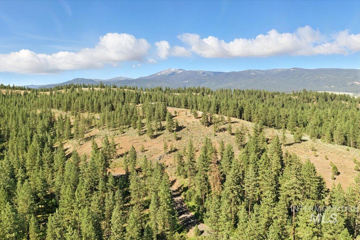 View of mountain backdrop with a heavily wooded area