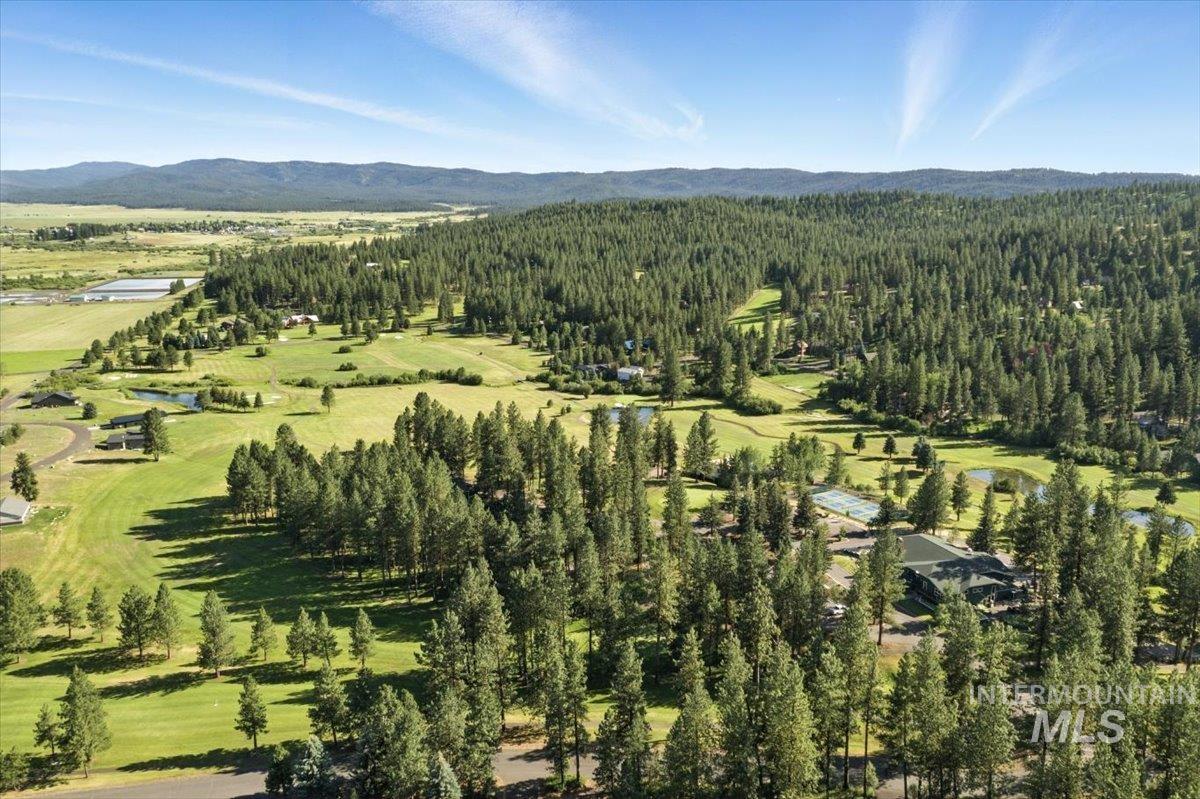 Aerial view of a heavily wooded area and a mountain backdrop