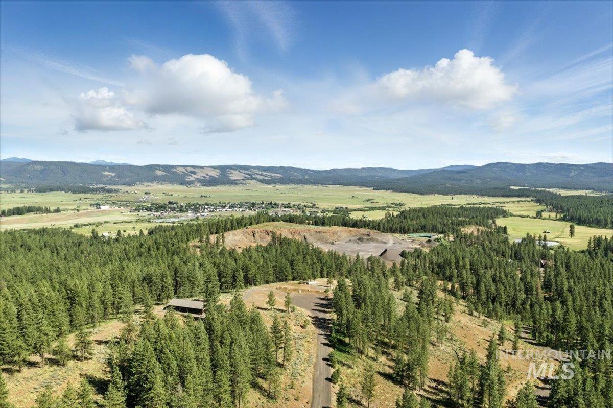 View of mountain background featuring a forest