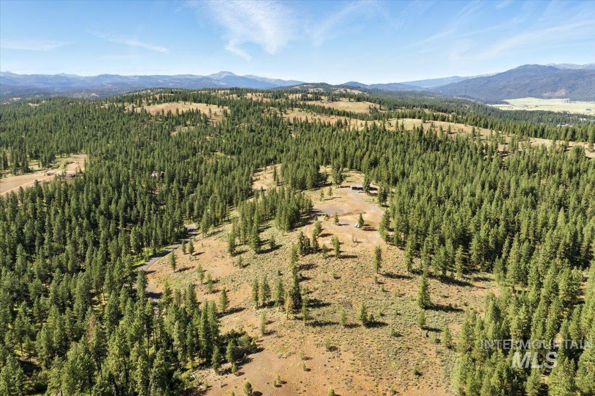 Aerial view of mountains and a heavily wooded area