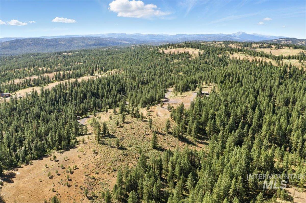 Bird's eye view of a forest and a mountainous background
