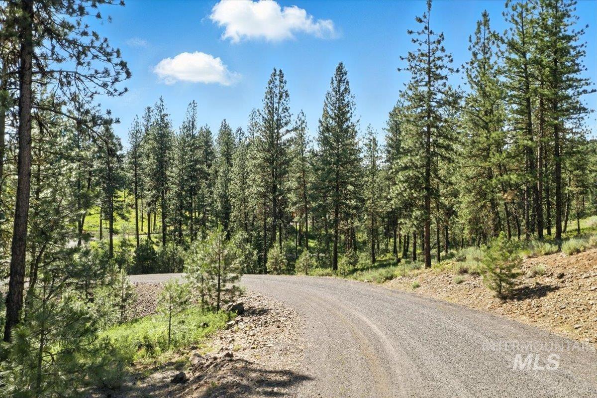 View of dirt / gravel road with a view of trees