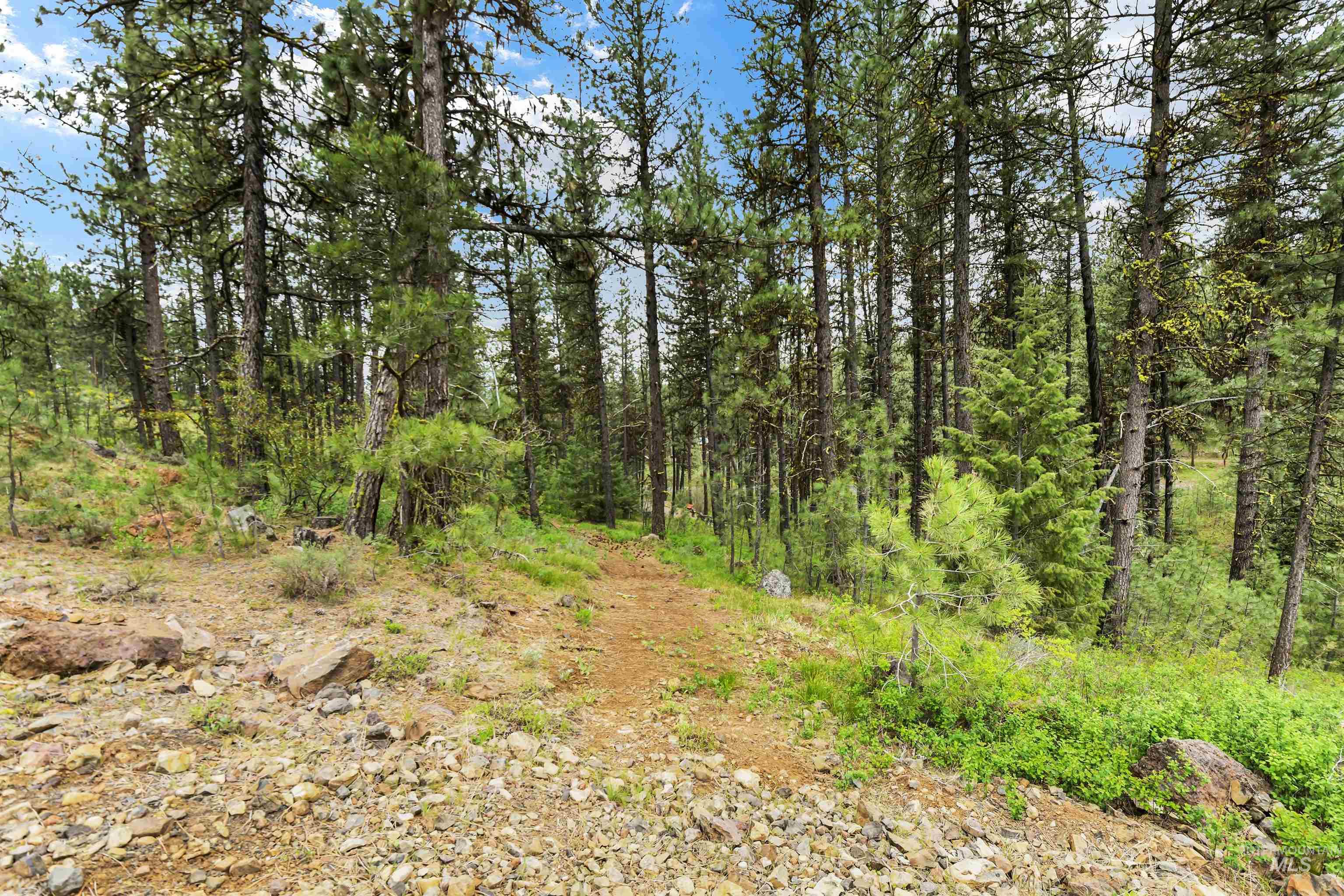Lot 7 Van Dorn Dr., New Meadows, Idaho 83654, Land For Sale, Price $249,900, 98945812