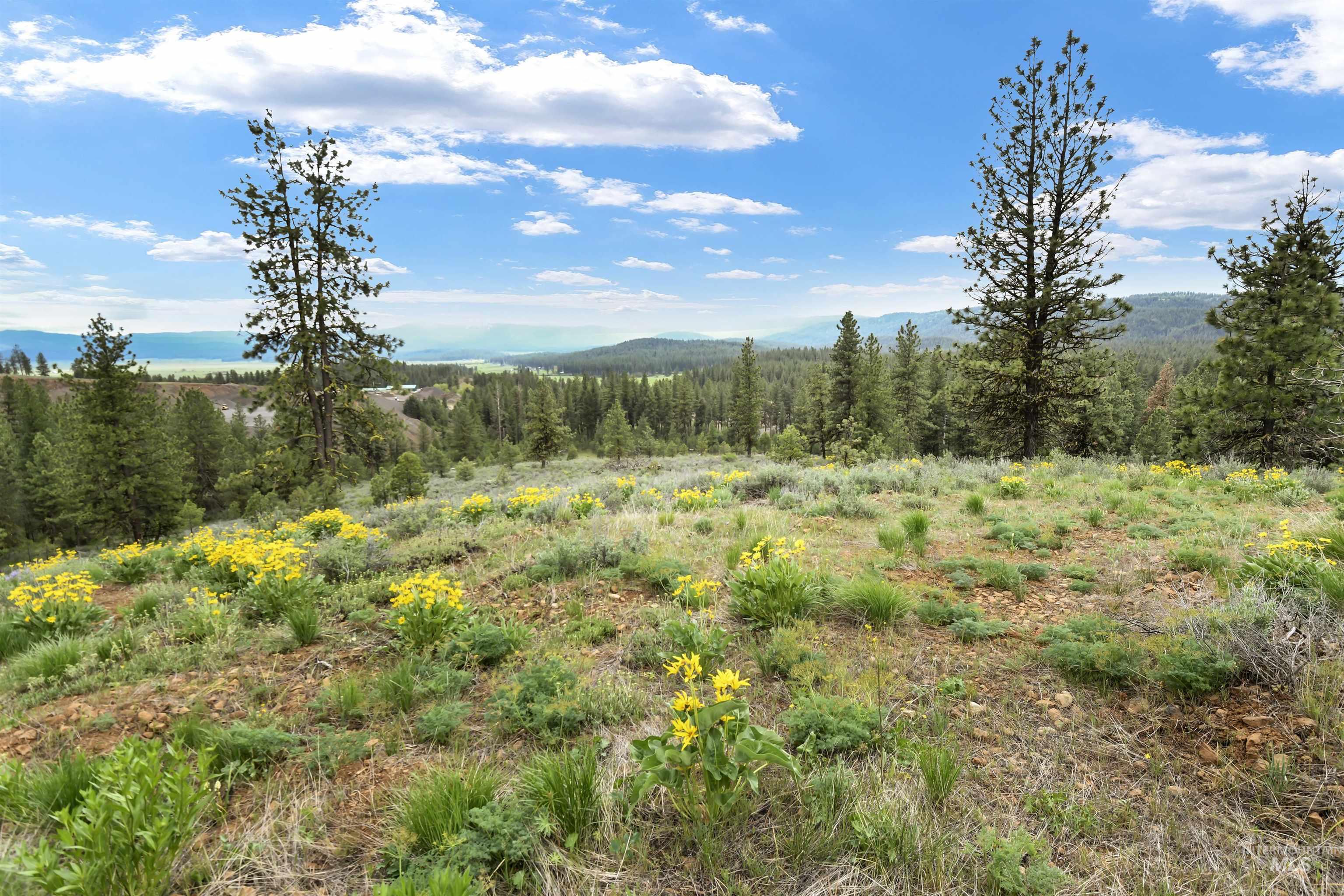 Lot 7 Van Dorn Dr., New Meadows, Idaho 83654, Land For Sale, Price $249,900, 98945812
