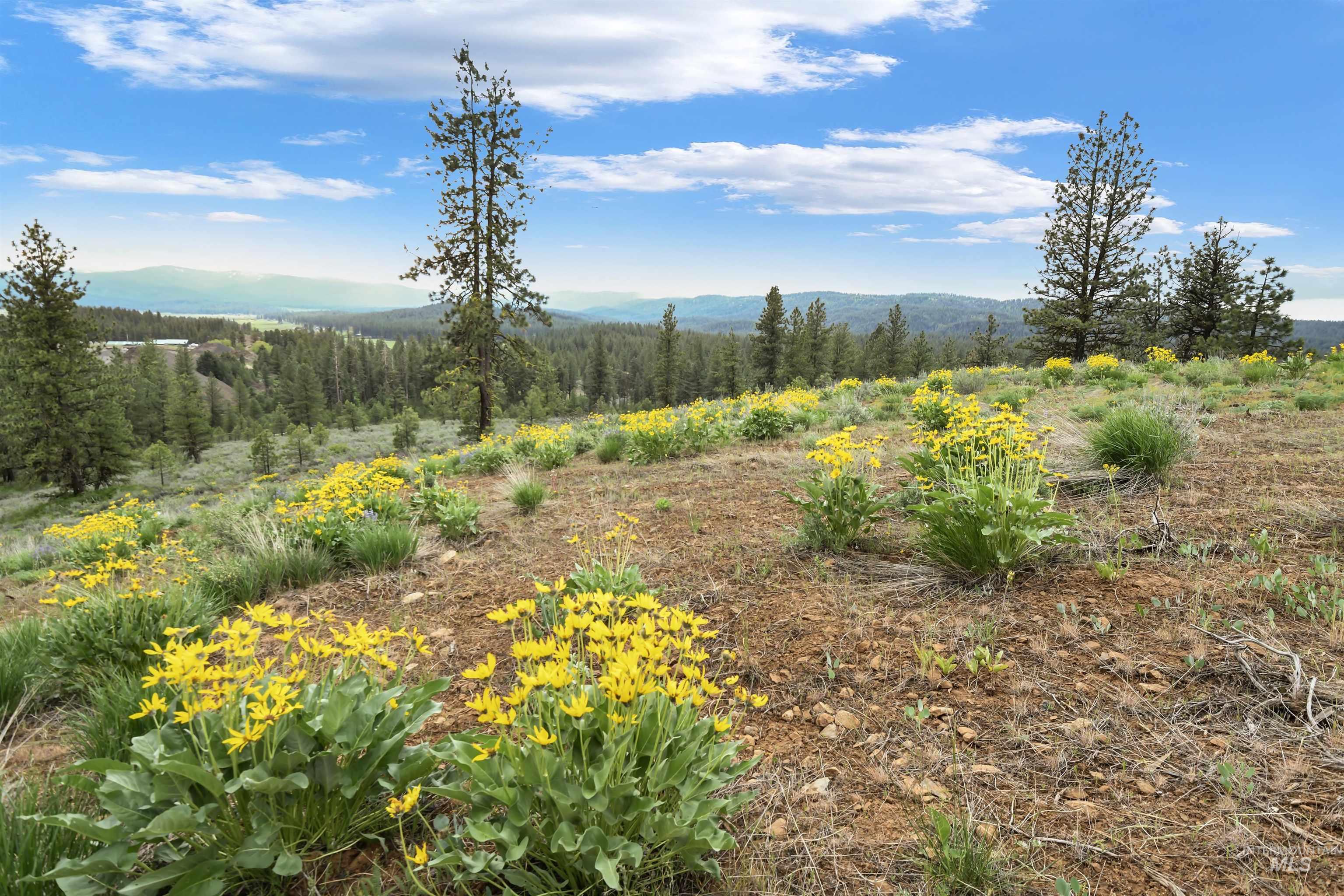 Lot 7 Van Dorn Dr., New Meadows, Idaho 83654, Land For Sale, Price $249,900, 98945812
