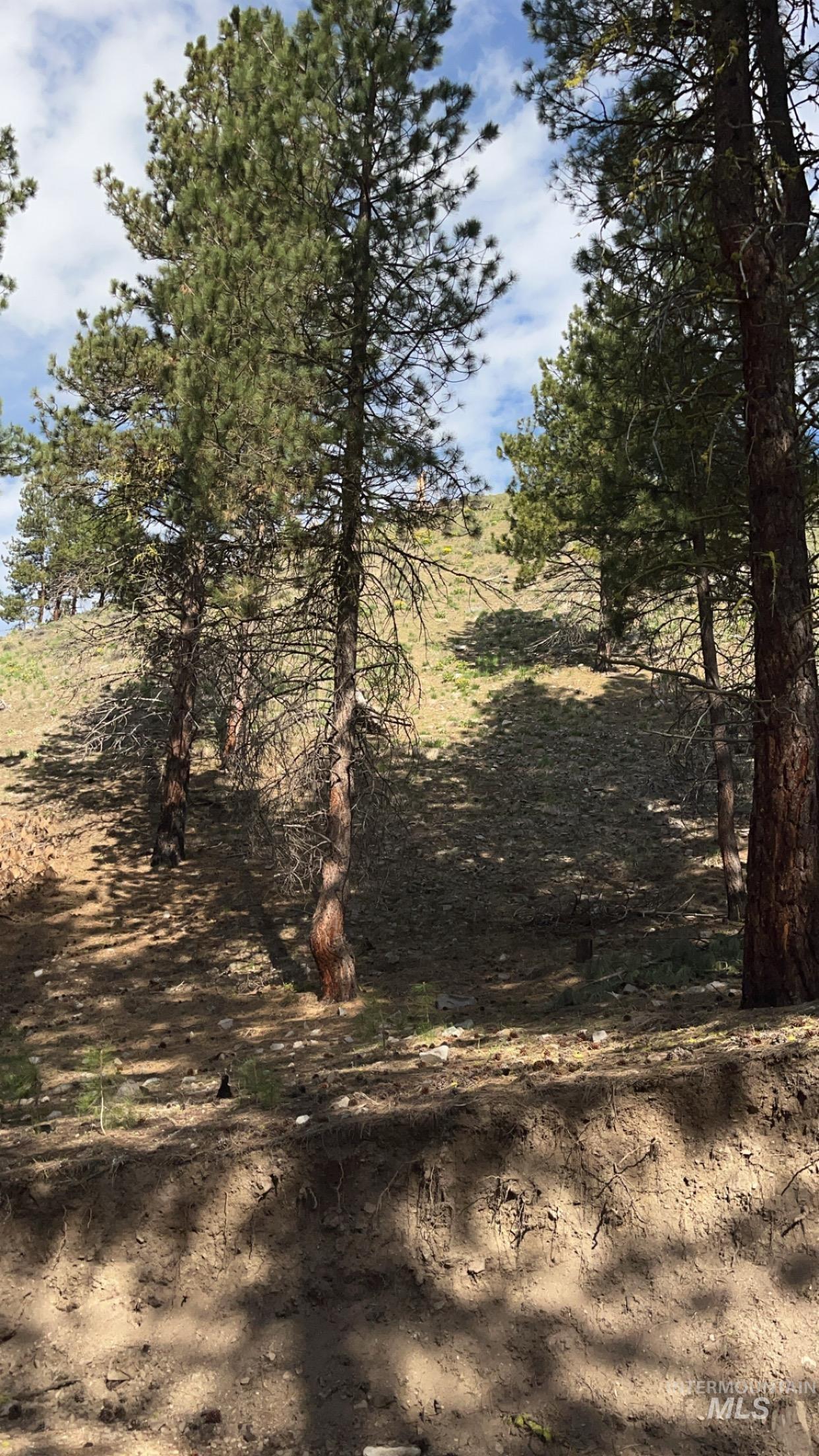 4395 N Pine Featherville Rd, Featherville, Idaho 83647, Land For Sale, Price $480,000, 98945833