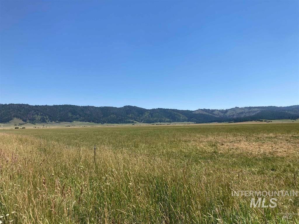 TBD 49 AC Gray Lane, Cascade, Idaho 83611, Land For Sale, Price $275,000, 98945887
