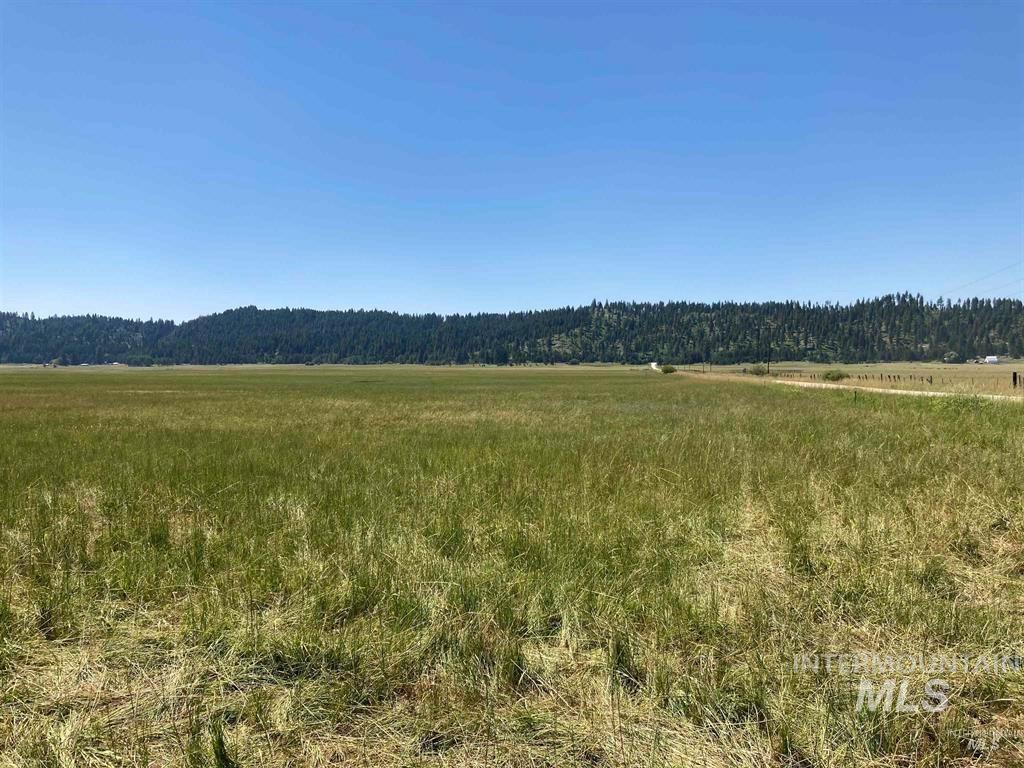 TBD 49 AC Gray Lane, Cascade, Idaho 83611, Land For Sale, Price $275,000, 98945887
