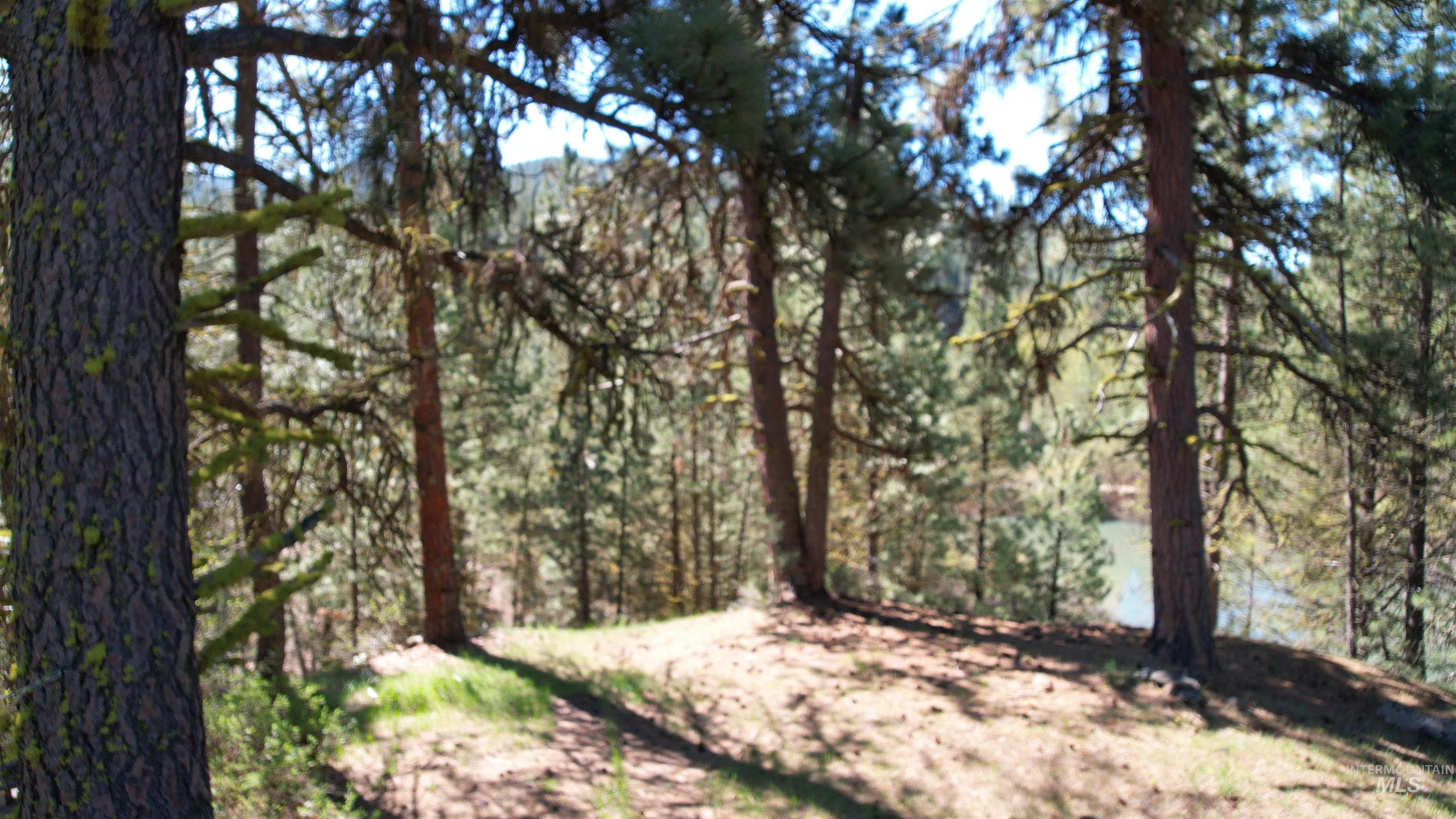 9 POND OVERLOOK, Idaho City, Idaho 83631, 3 Bedrooms, 2 Bathrooms, Residential For Sale, Price $475,000, 98945928