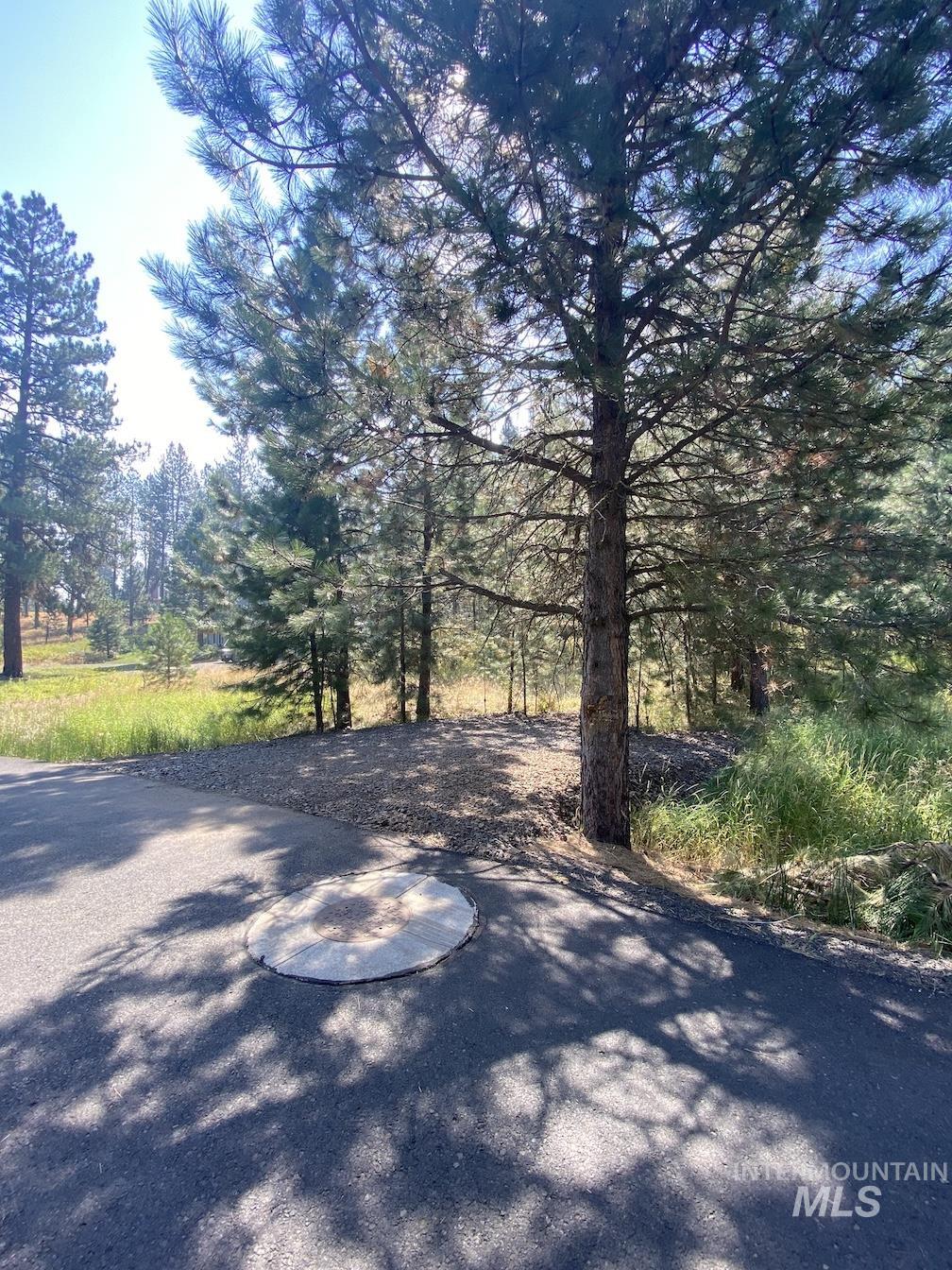 3955 Valley View Dr, New Meadows, Idaho 83654, Land For Sale, Price $99,500, 98945930